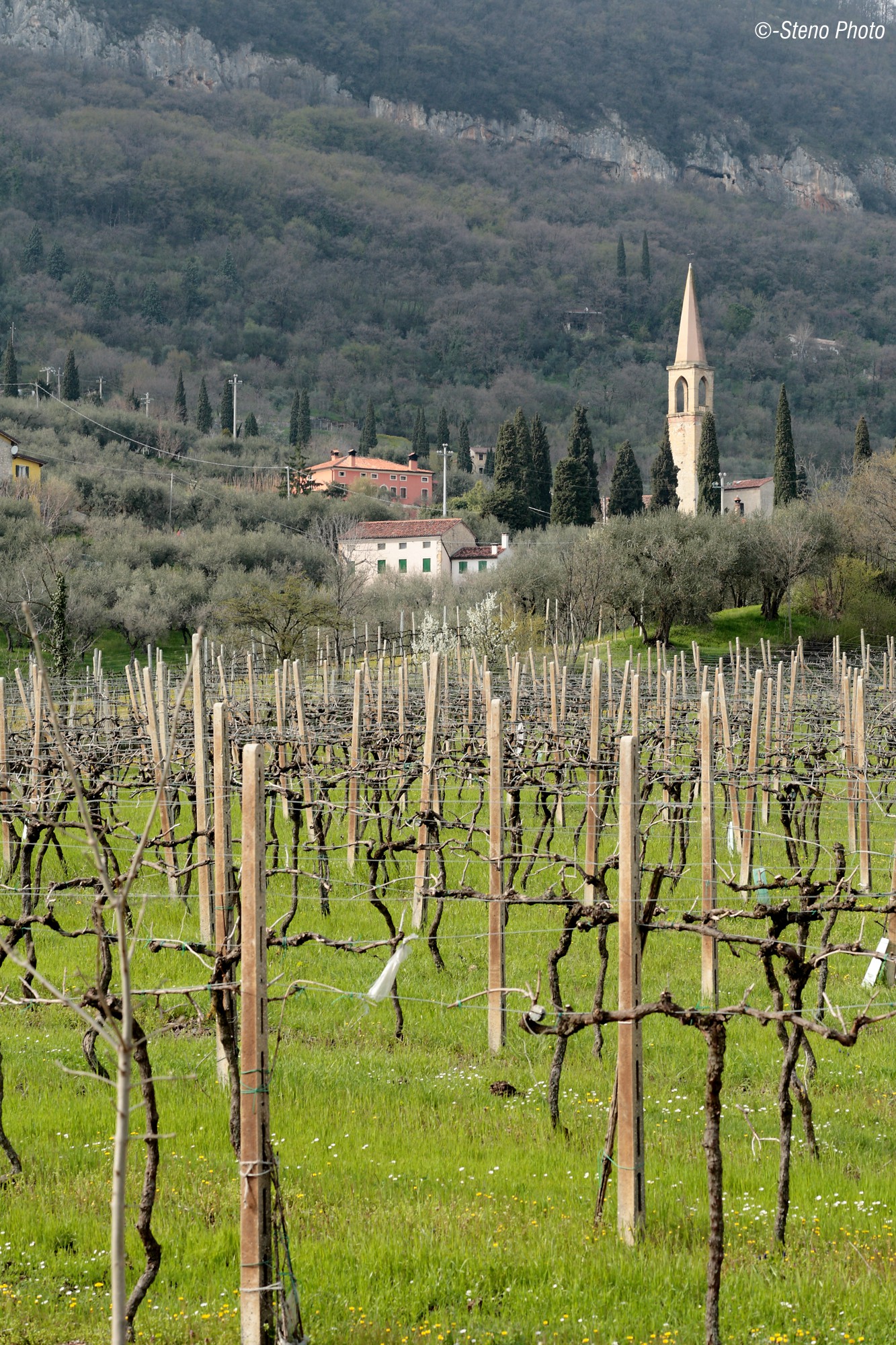 Parrocchiale di Nanto