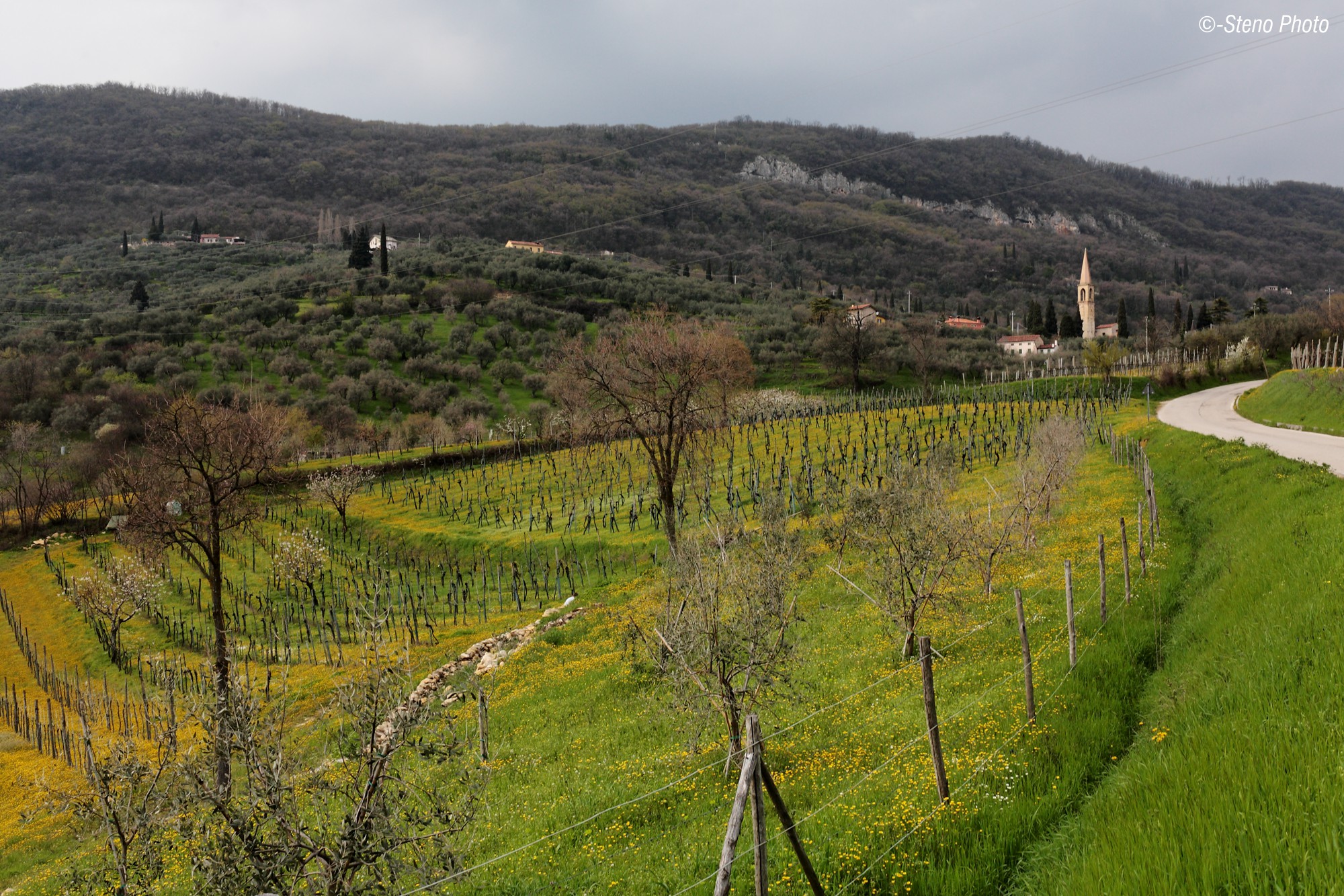 Lo stradone provinciale