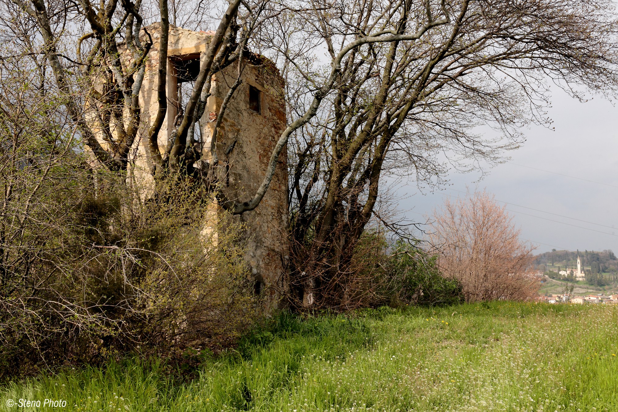 Assediato dalla natura