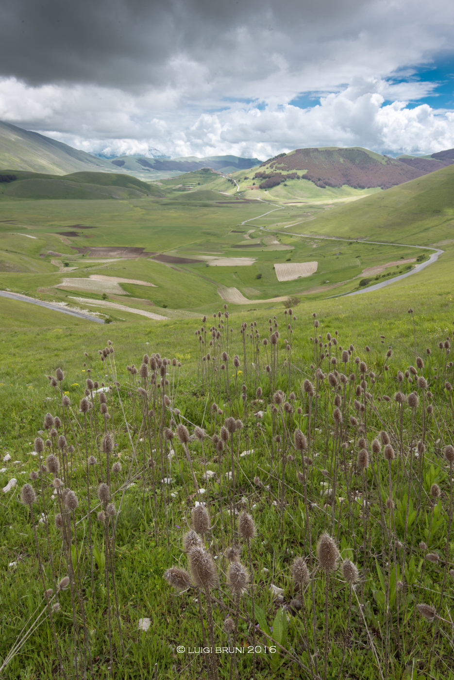 la lunga via per Castelluccio