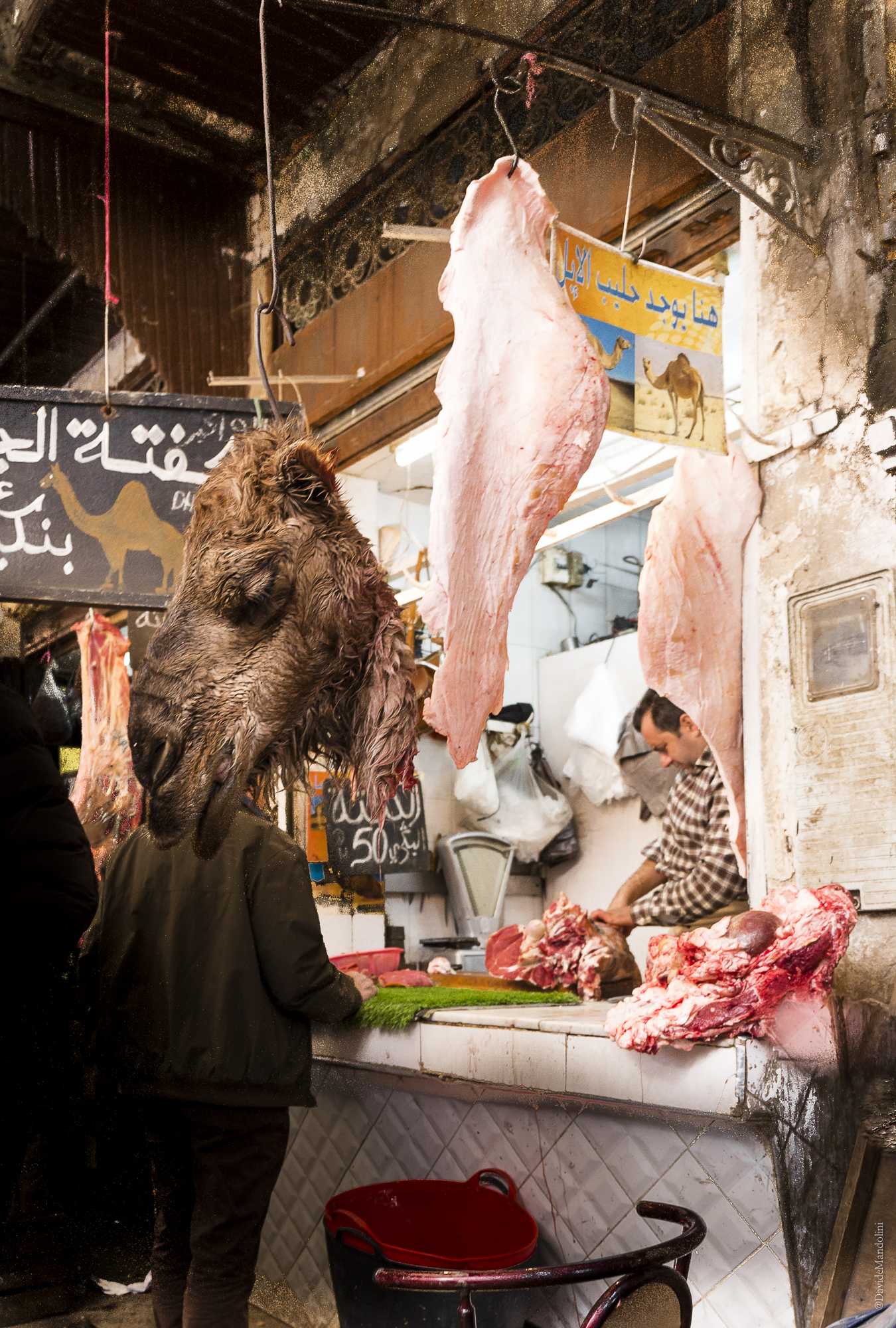 Medina di Fez - Mercato della carne