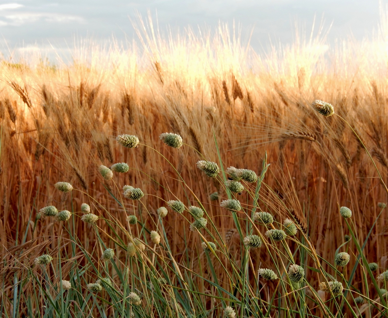 Shelter from the Rays