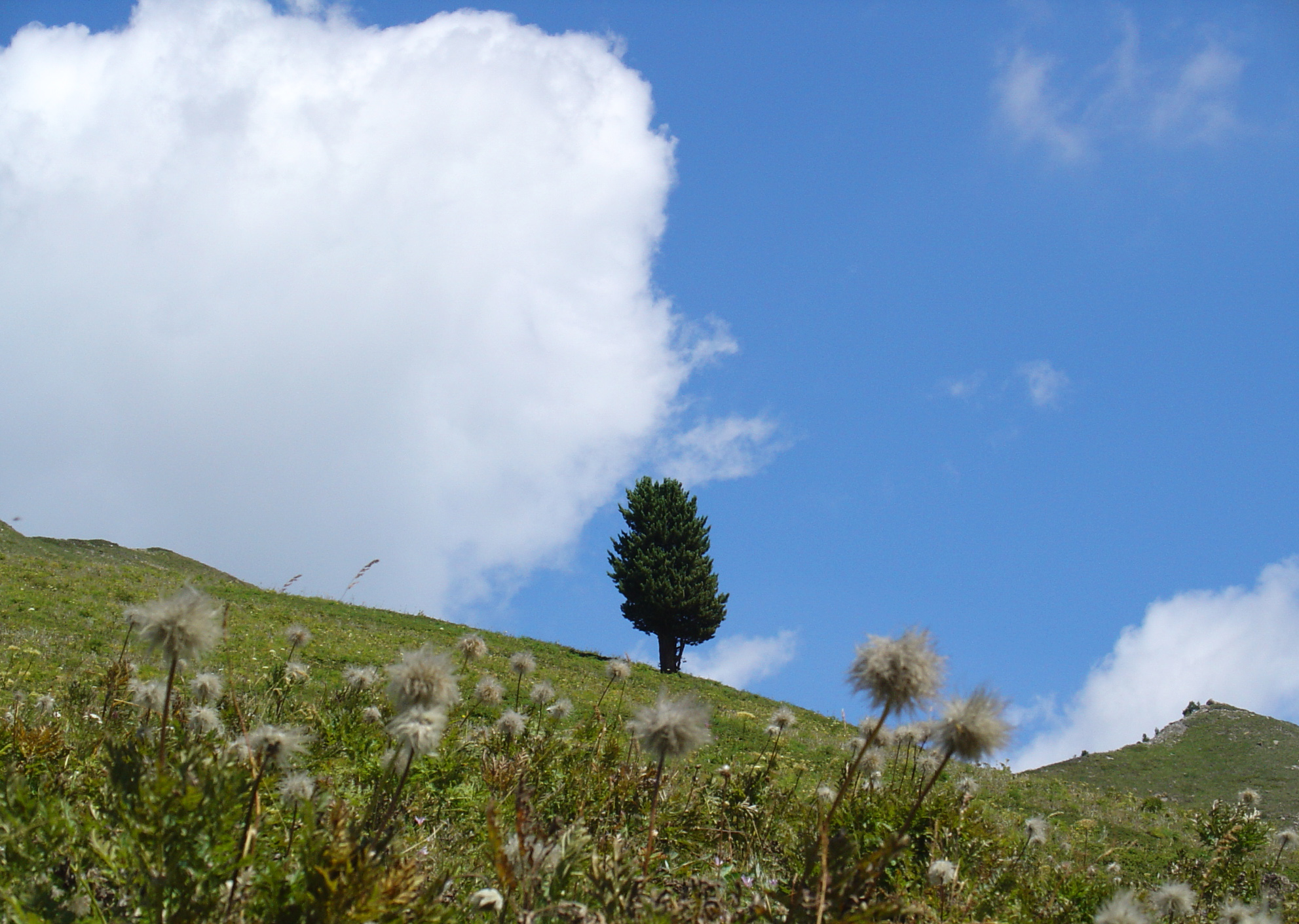Il guardiamo della Val di Thures