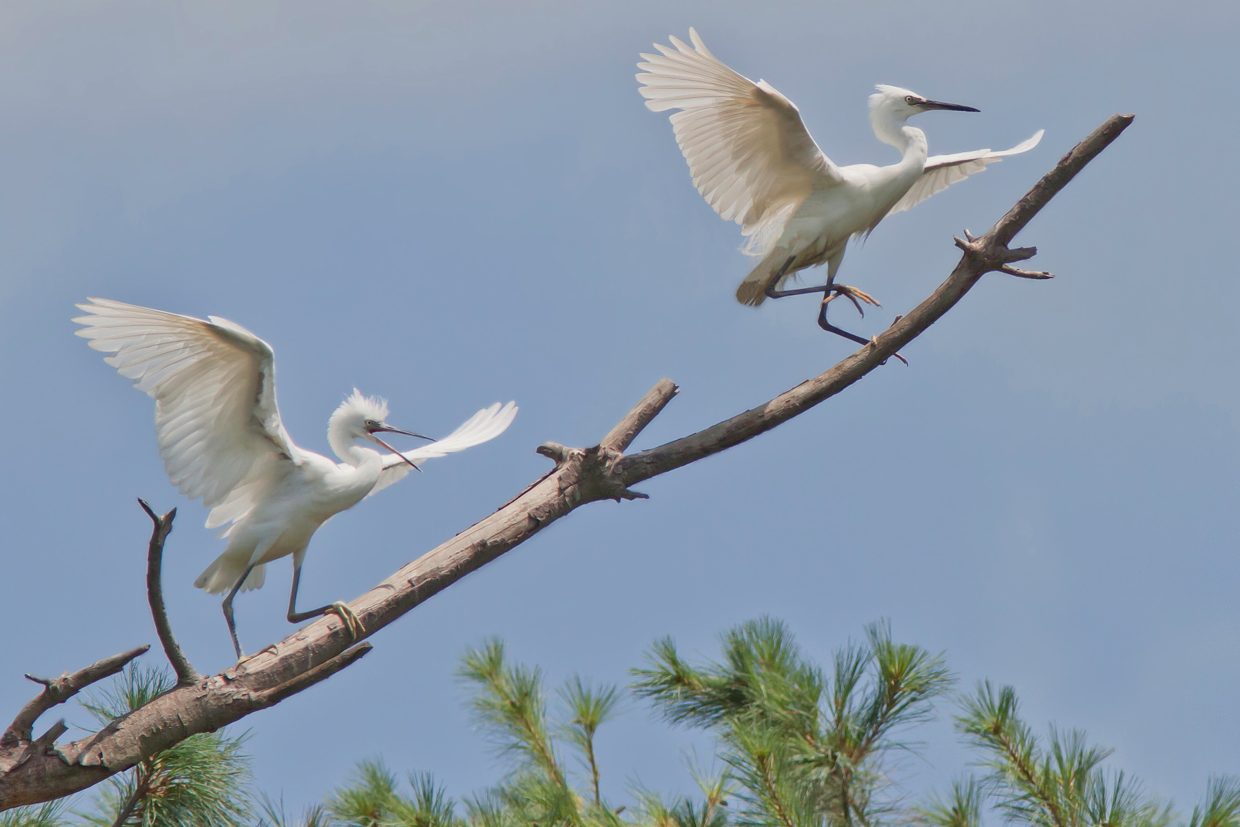 Sooner or later I'll get you!