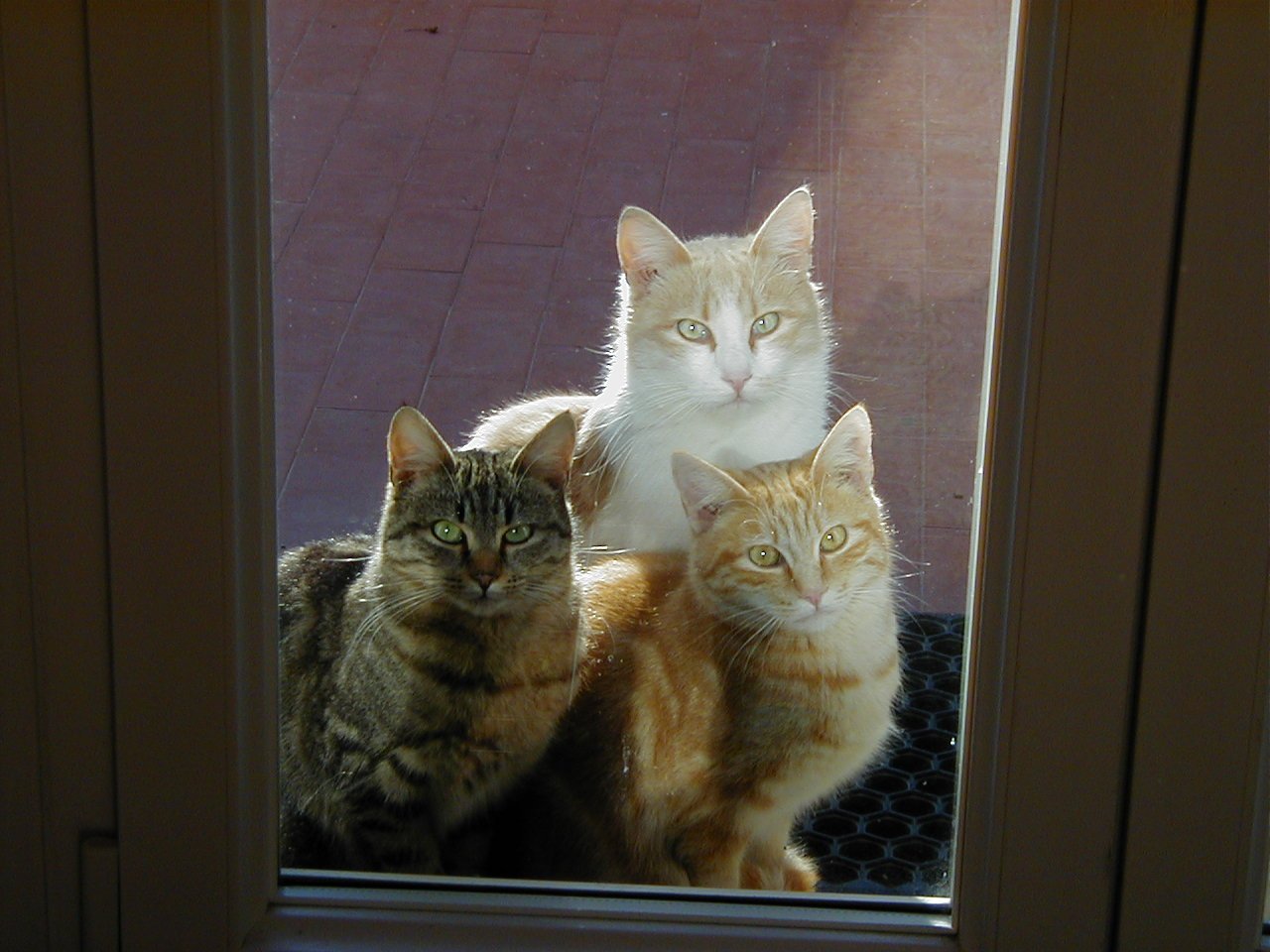 possiamo entrare?...