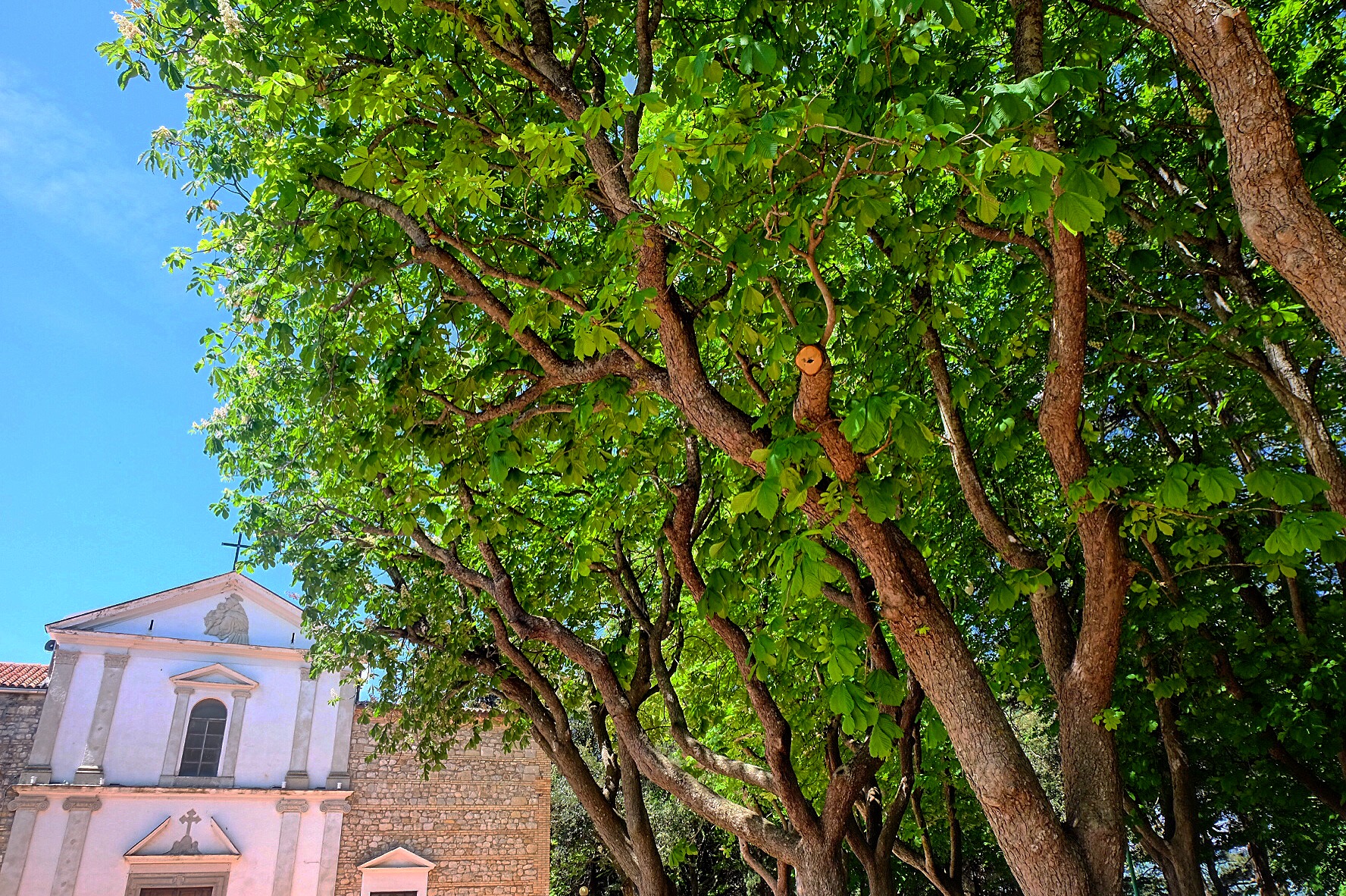 la chiesa ed il verde