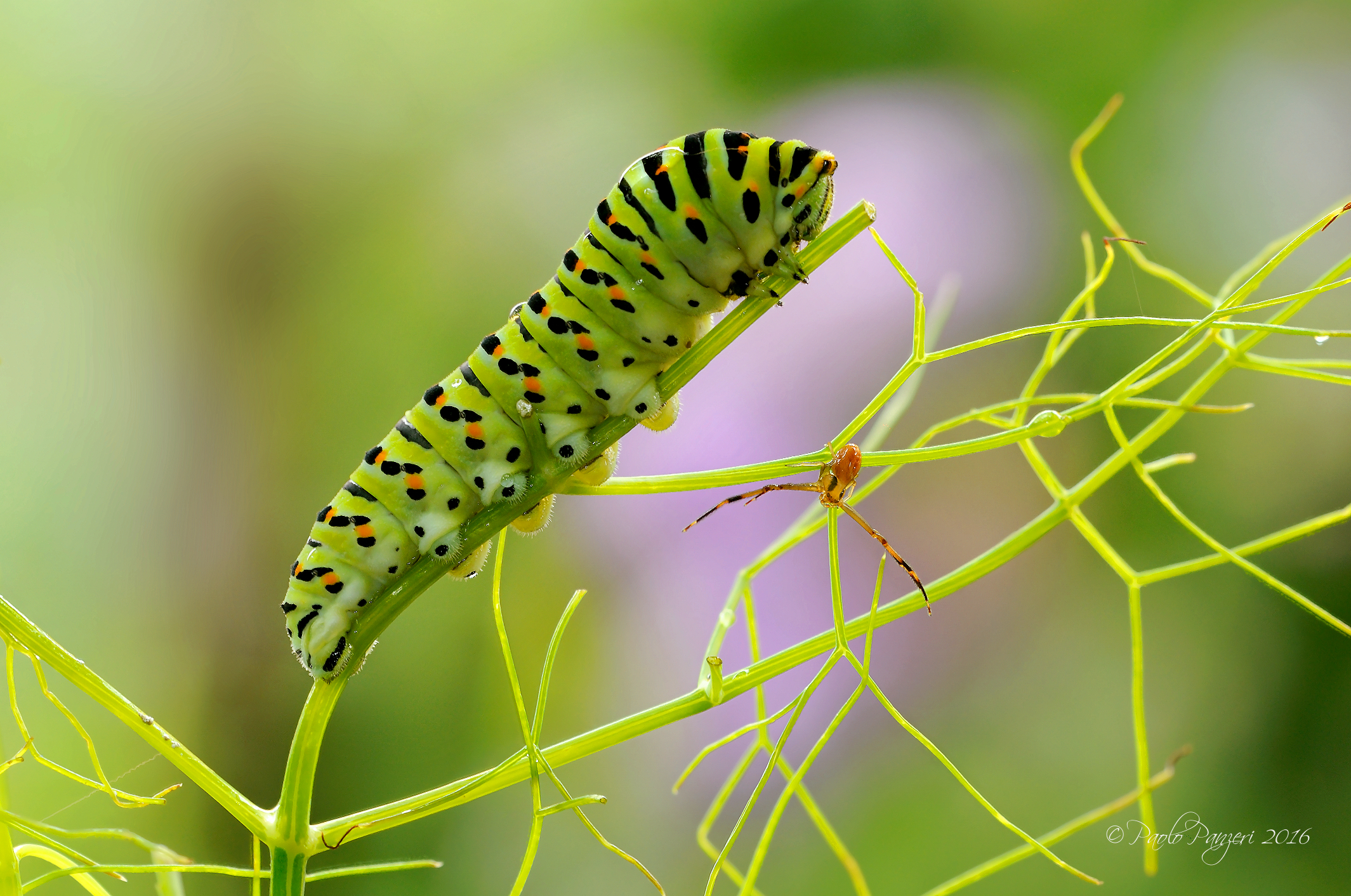 Dangerous friendships