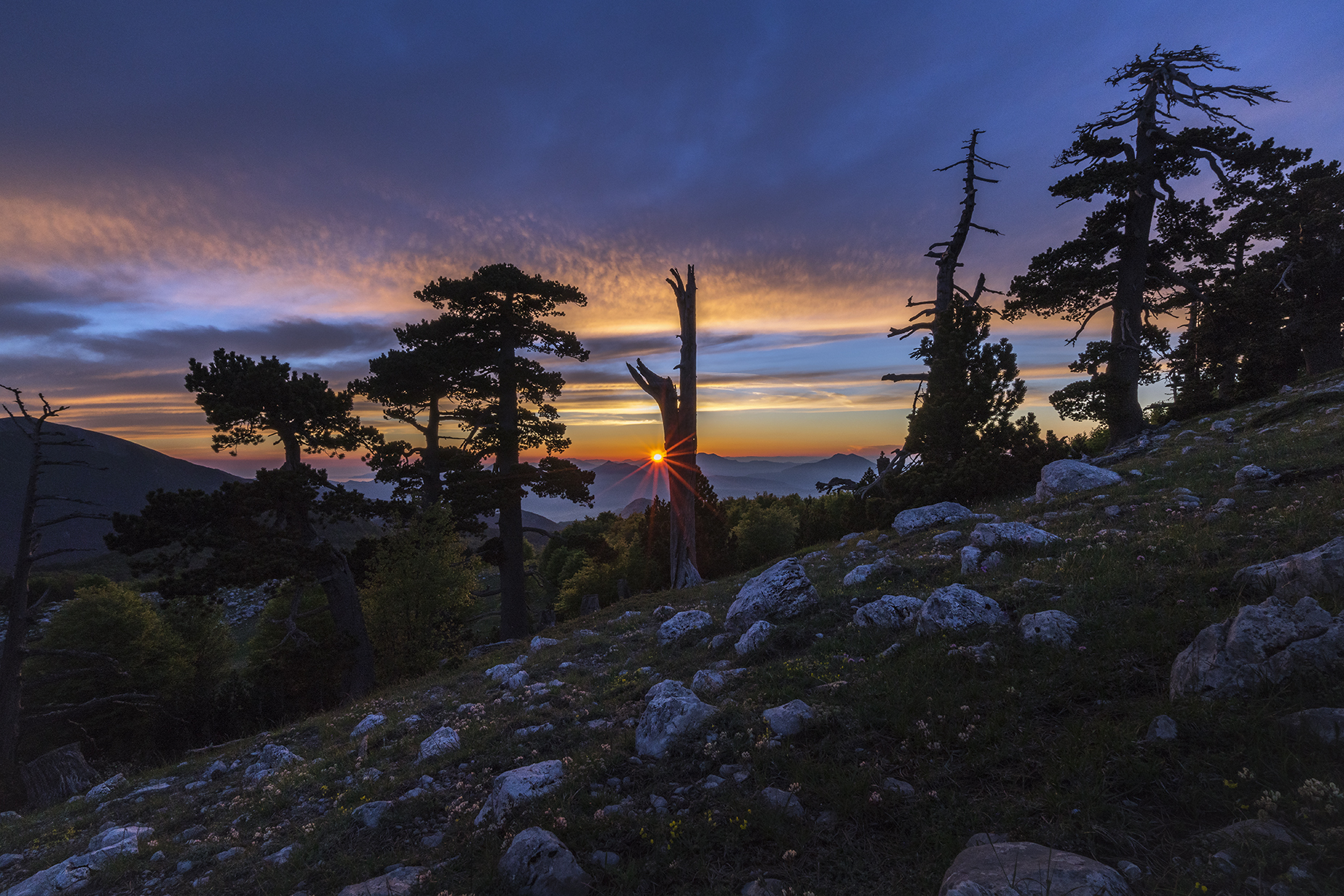 Garden of the Gods - Pollino National Park