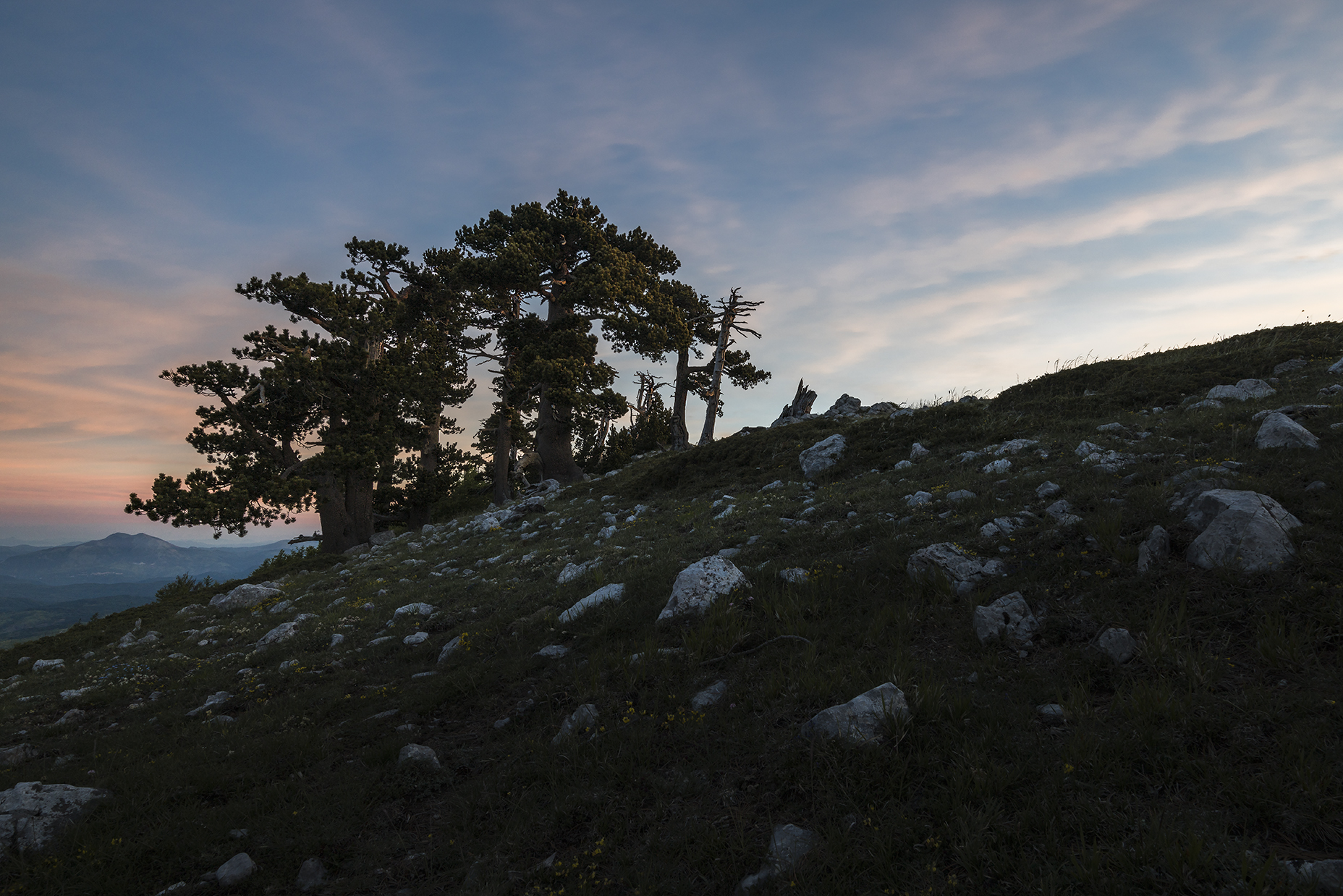 Garden of the Gods - Pollino National Park