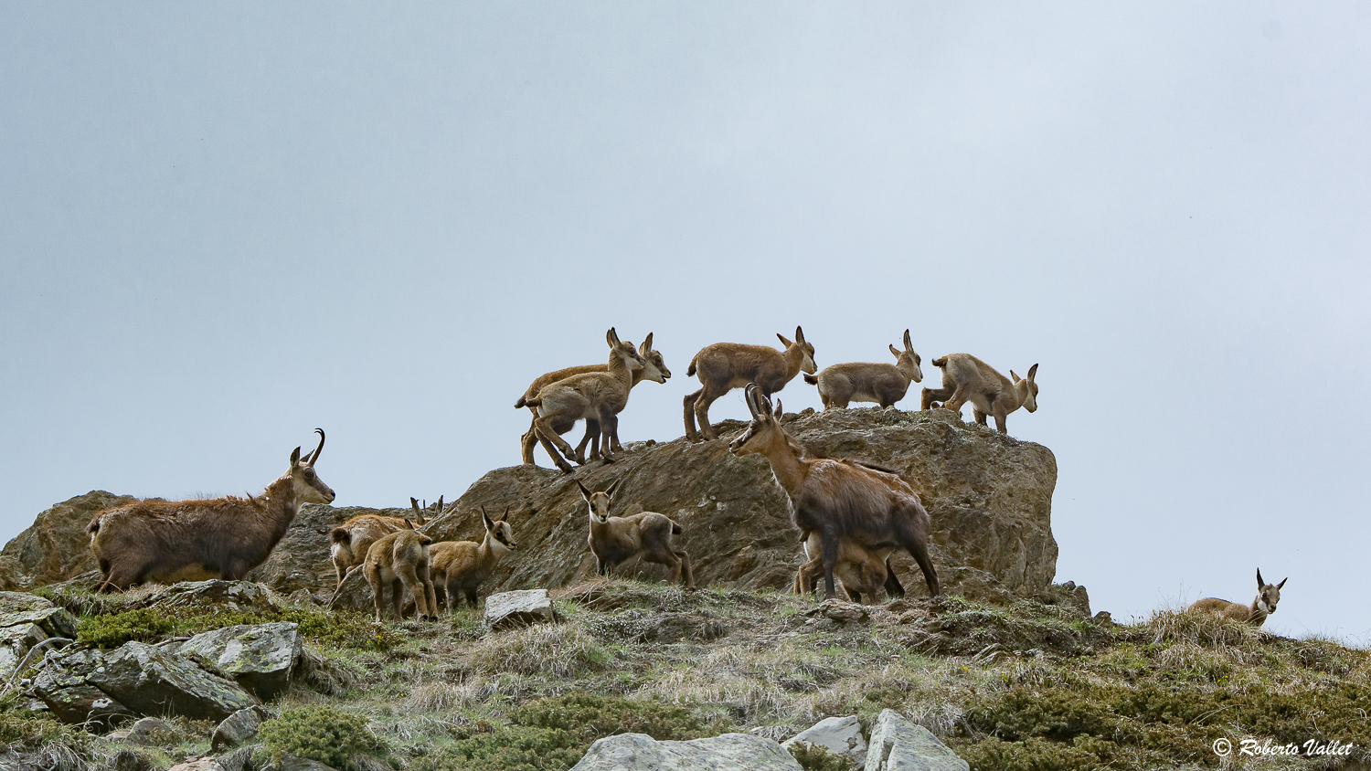la garderie du Grand Paradis