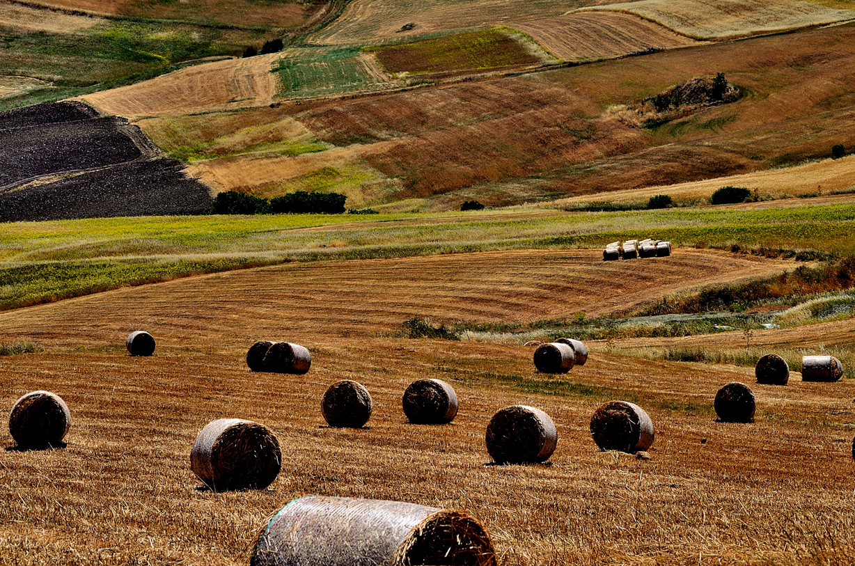 sicily