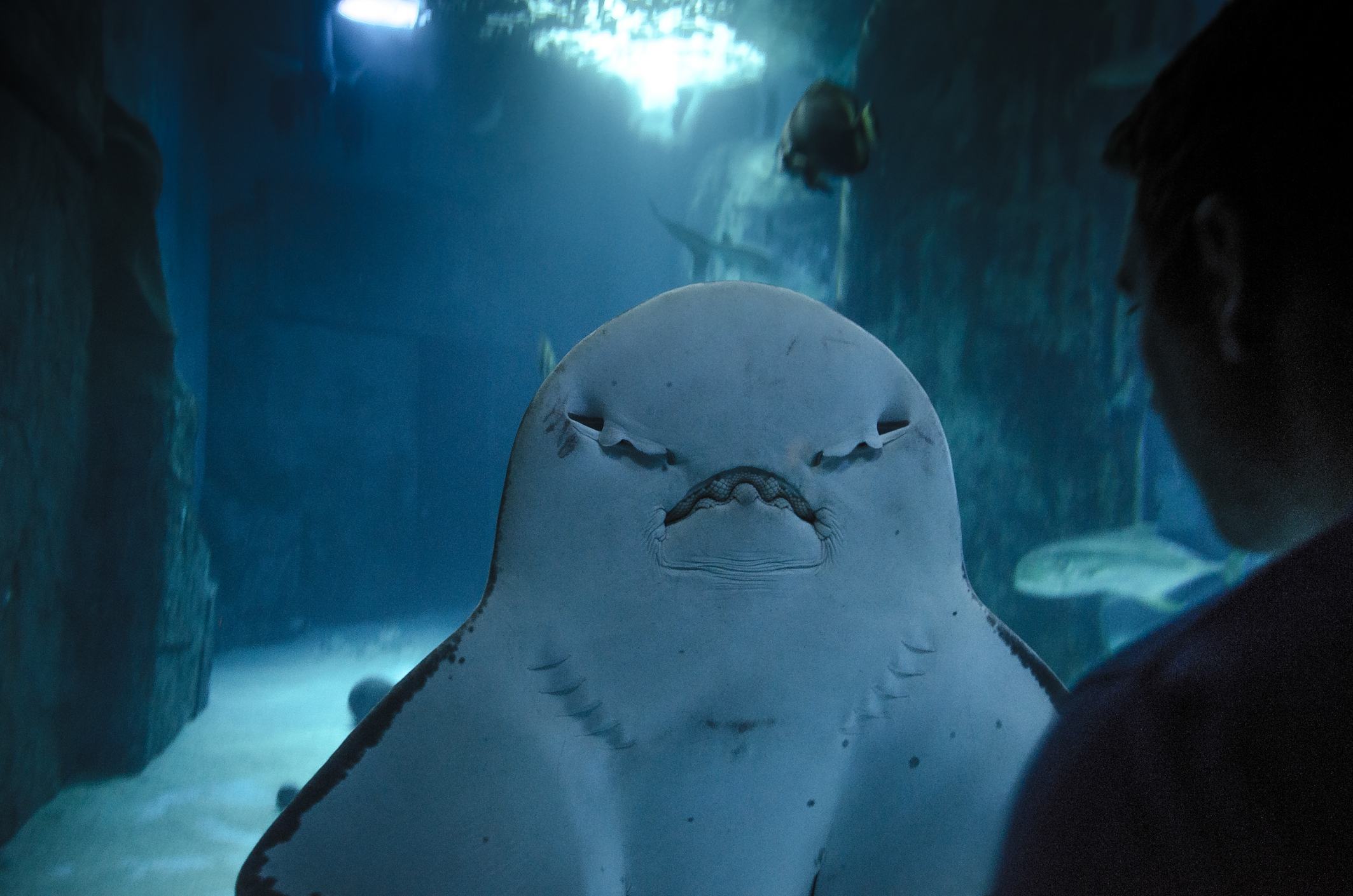 close encounter