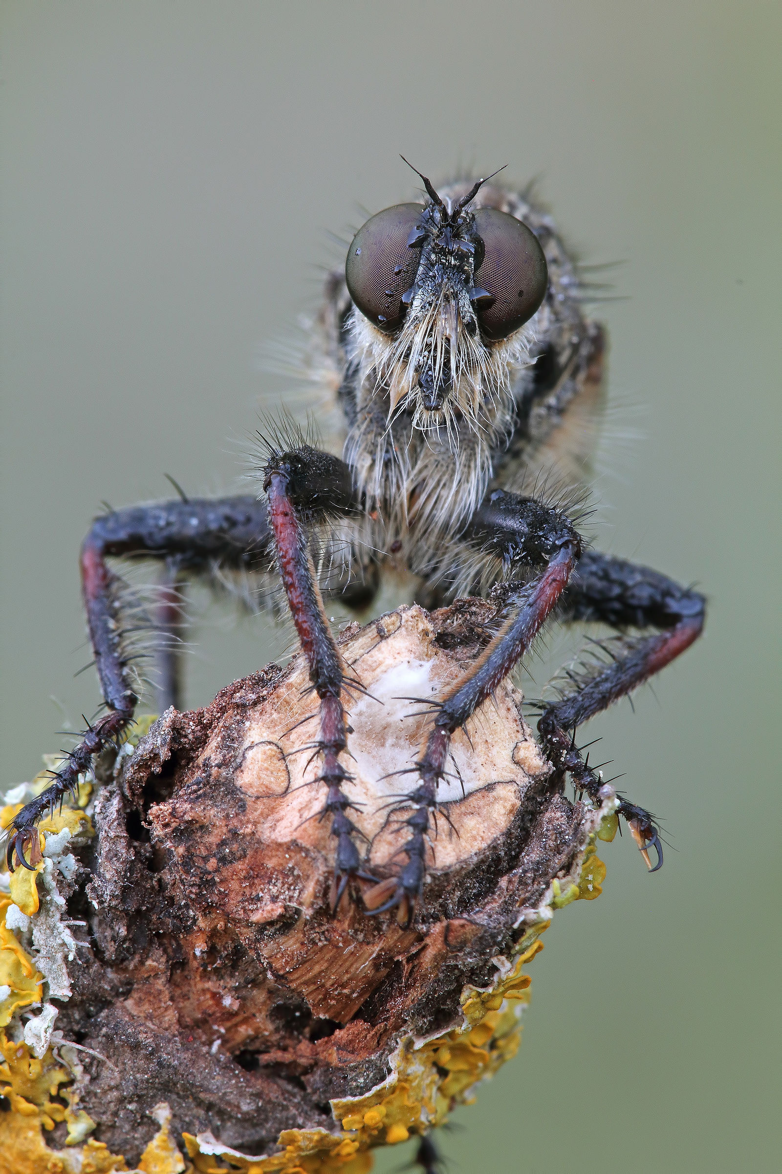 .... If I get angry .... !!!