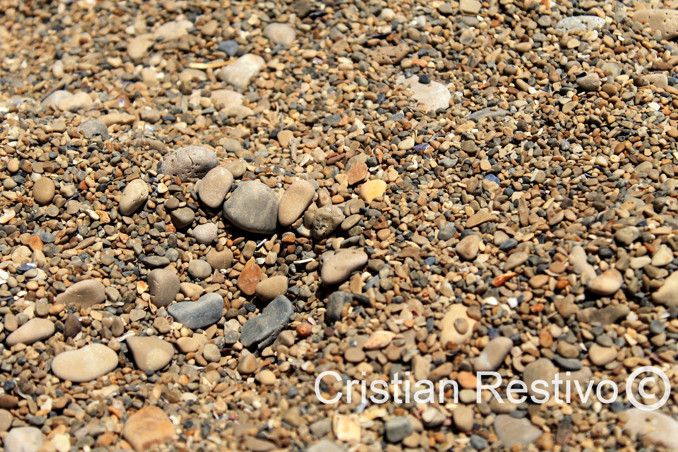Sassolini della ''Spiaggia dei Sassolini''