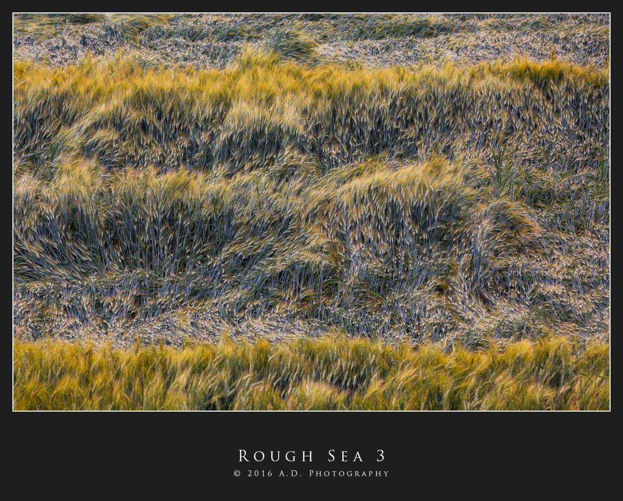 Rough Sea 3