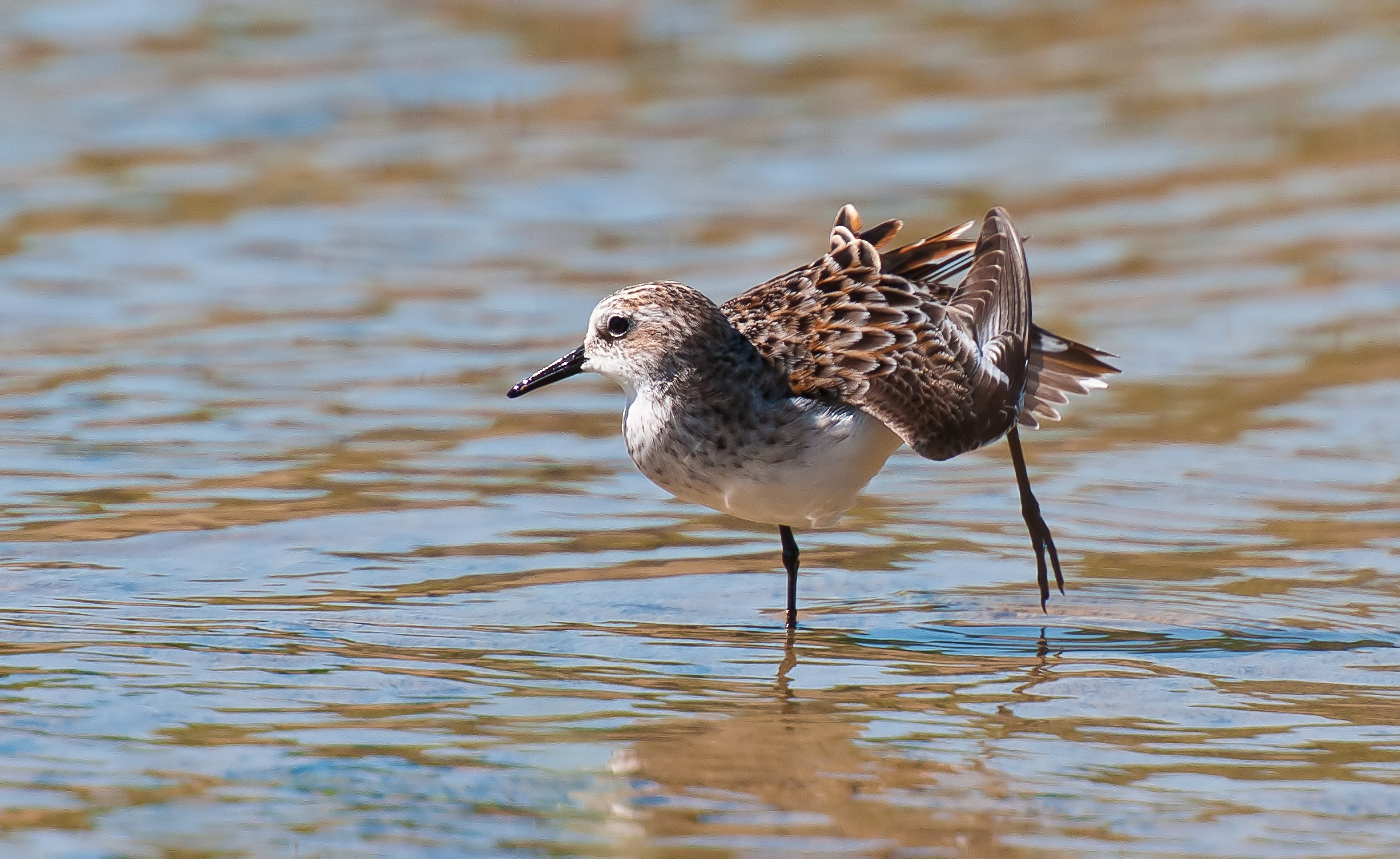 streccing....mattutino