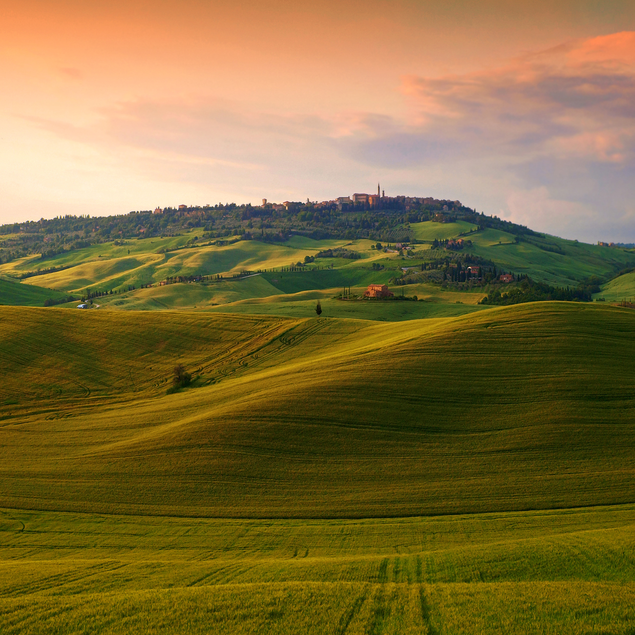 A small painting of Tuscany ..