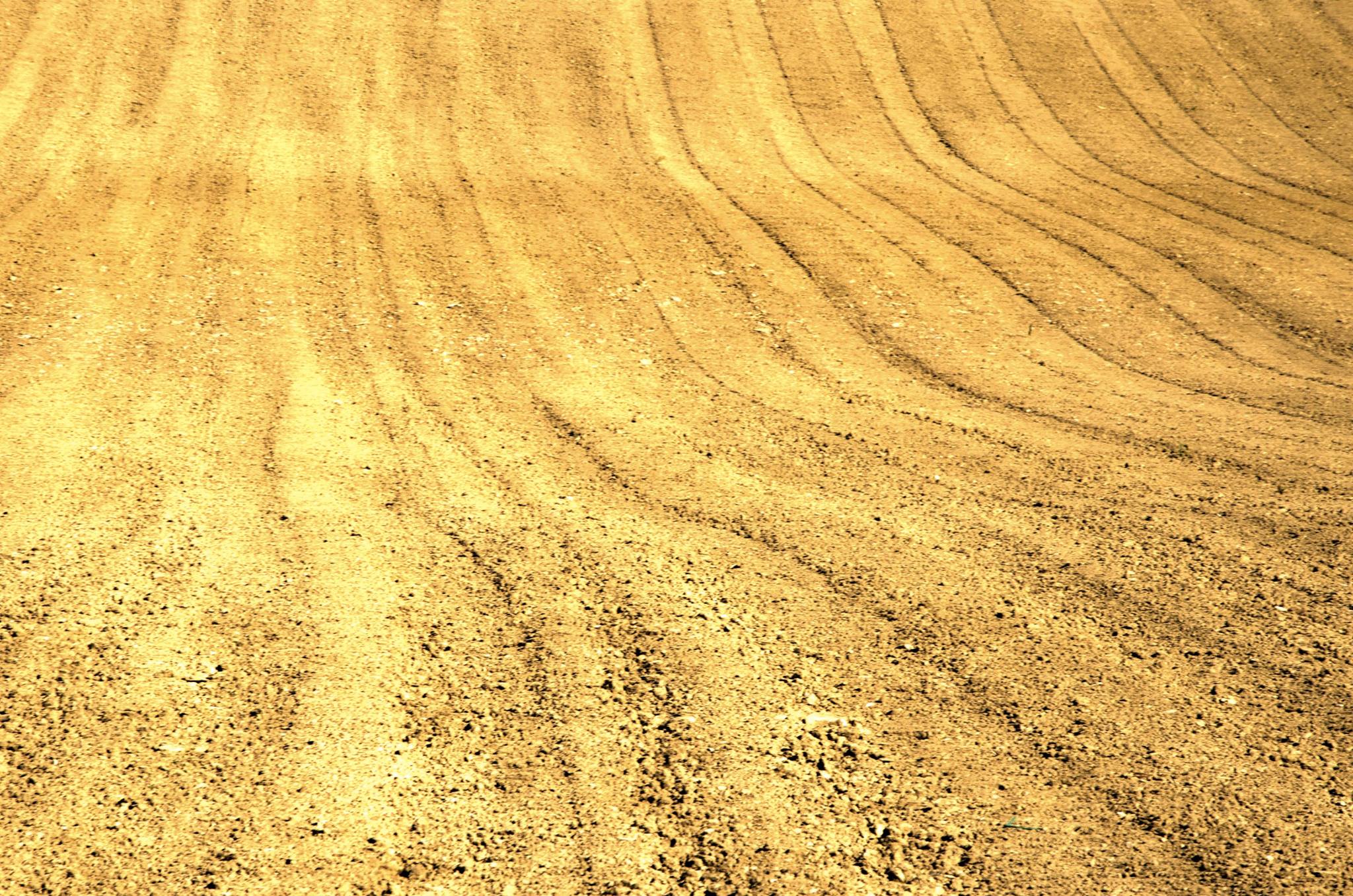 The gesture flings away the stone.