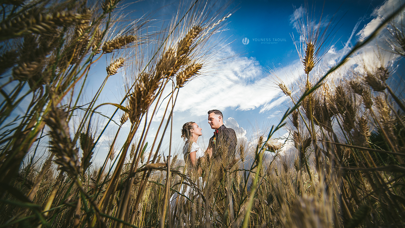 in un campo di grano ti ho amato.