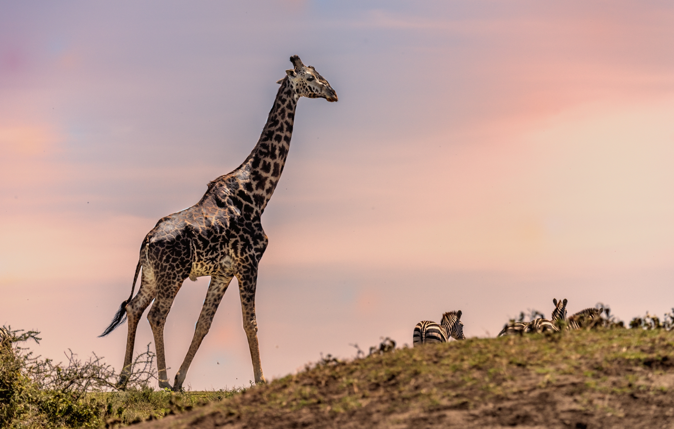 Tanzania 2016 - Di sera