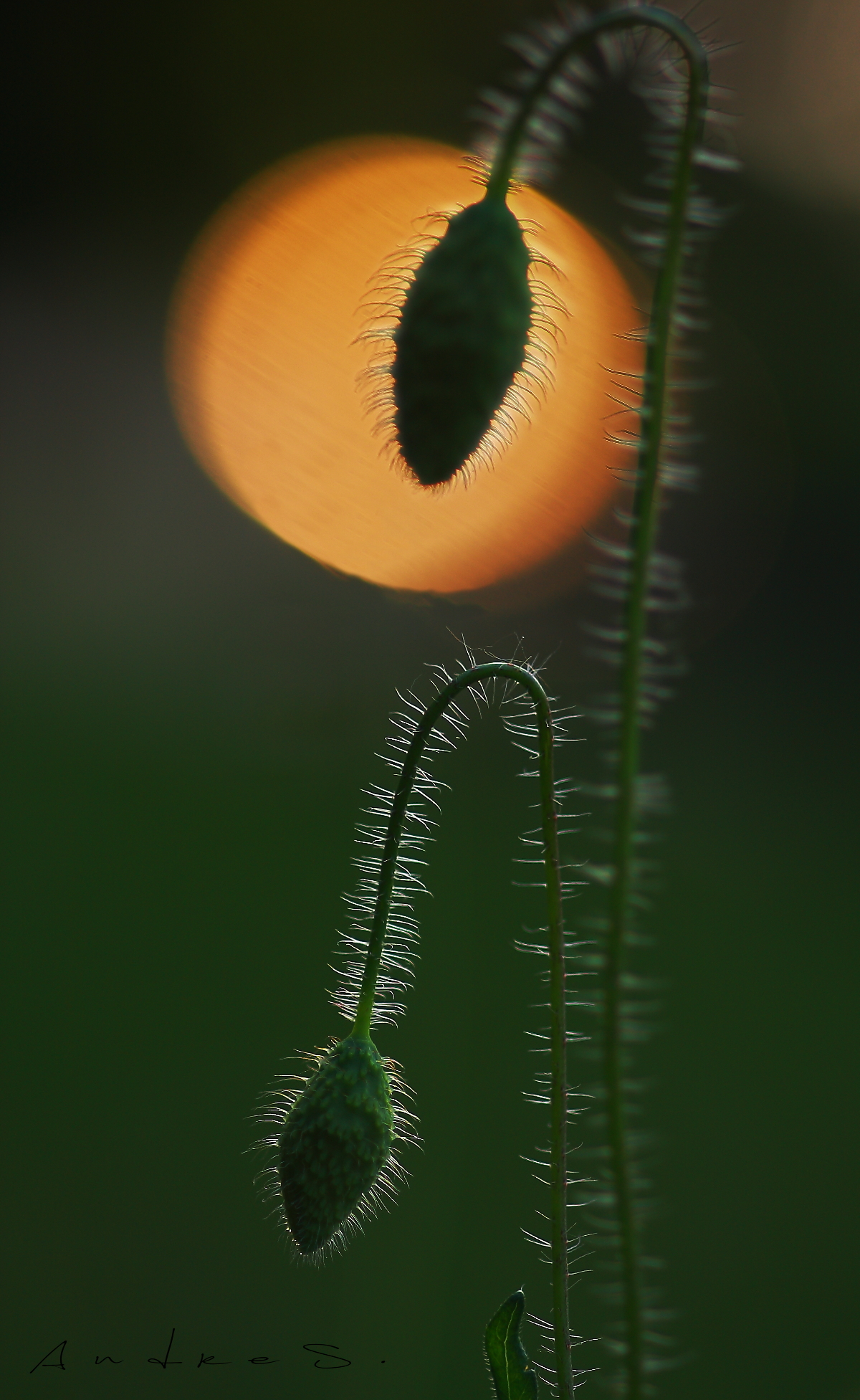 non è ancora il giorno giusto..