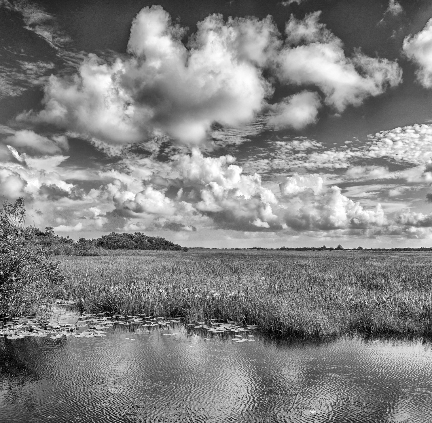 Everglades National Park