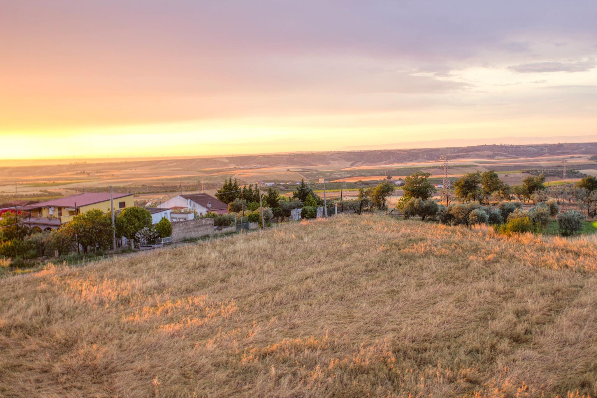 Looking from the window of the house