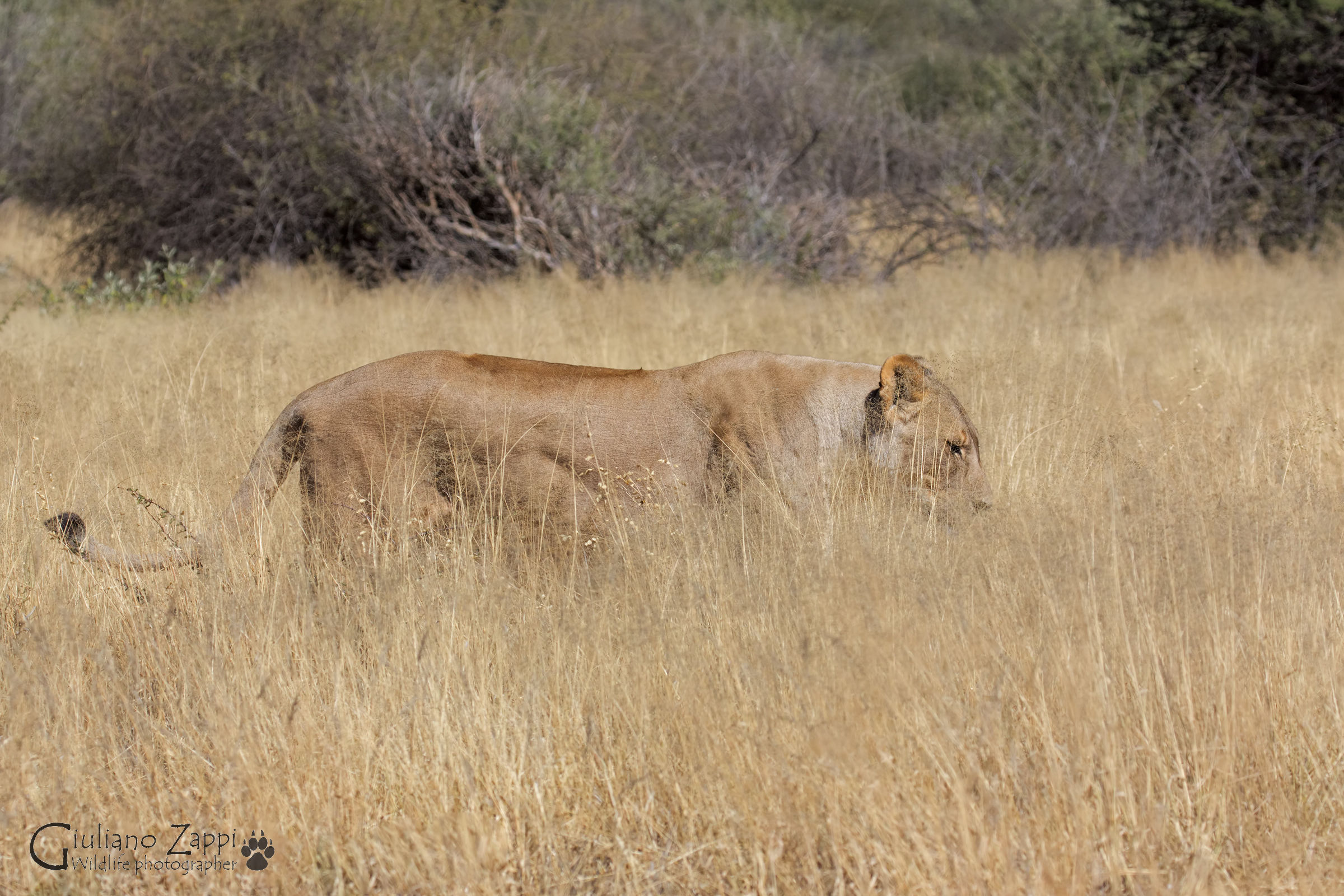 Immersa nel suo regno