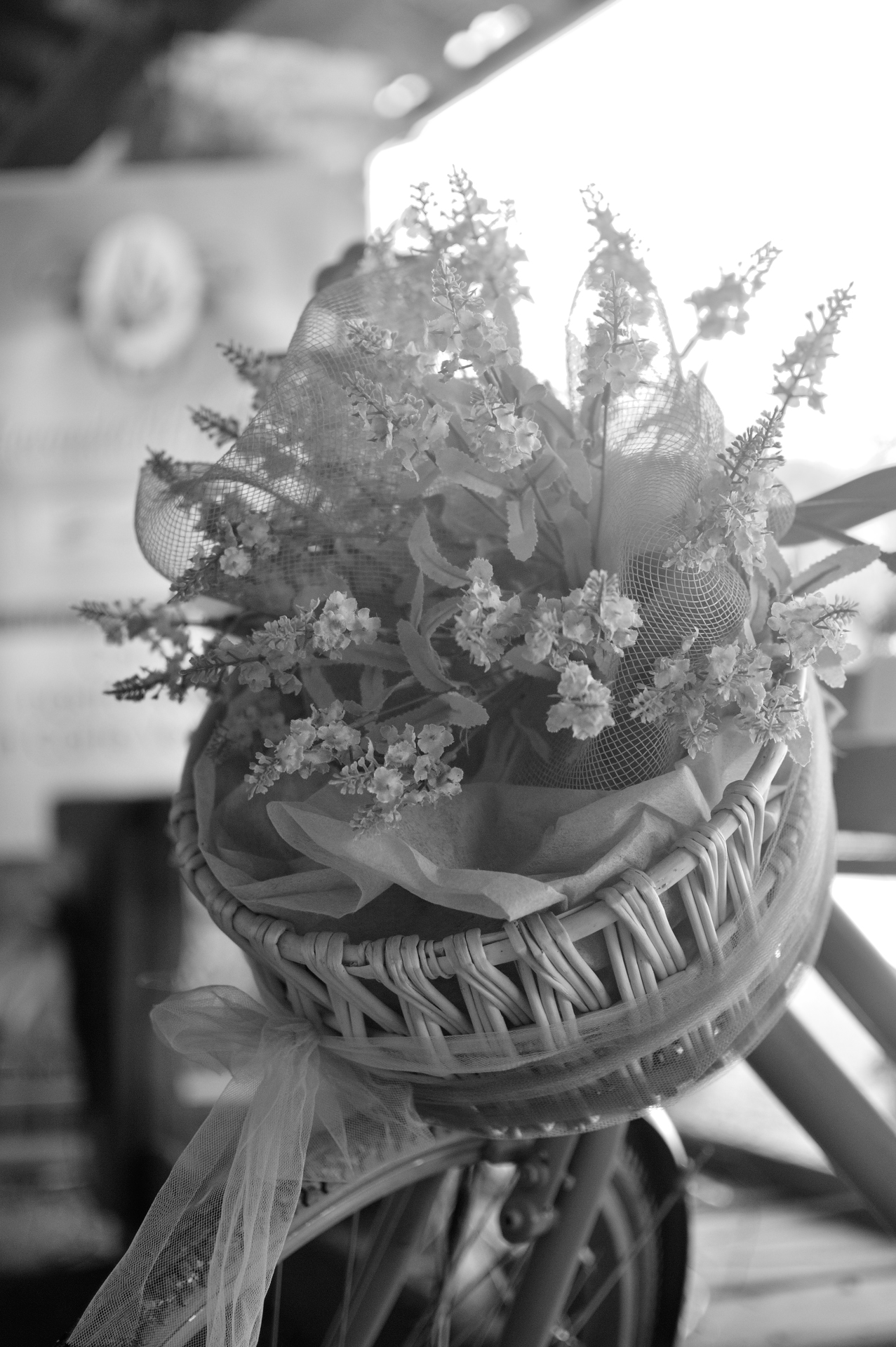 passeggiando in bicicletta