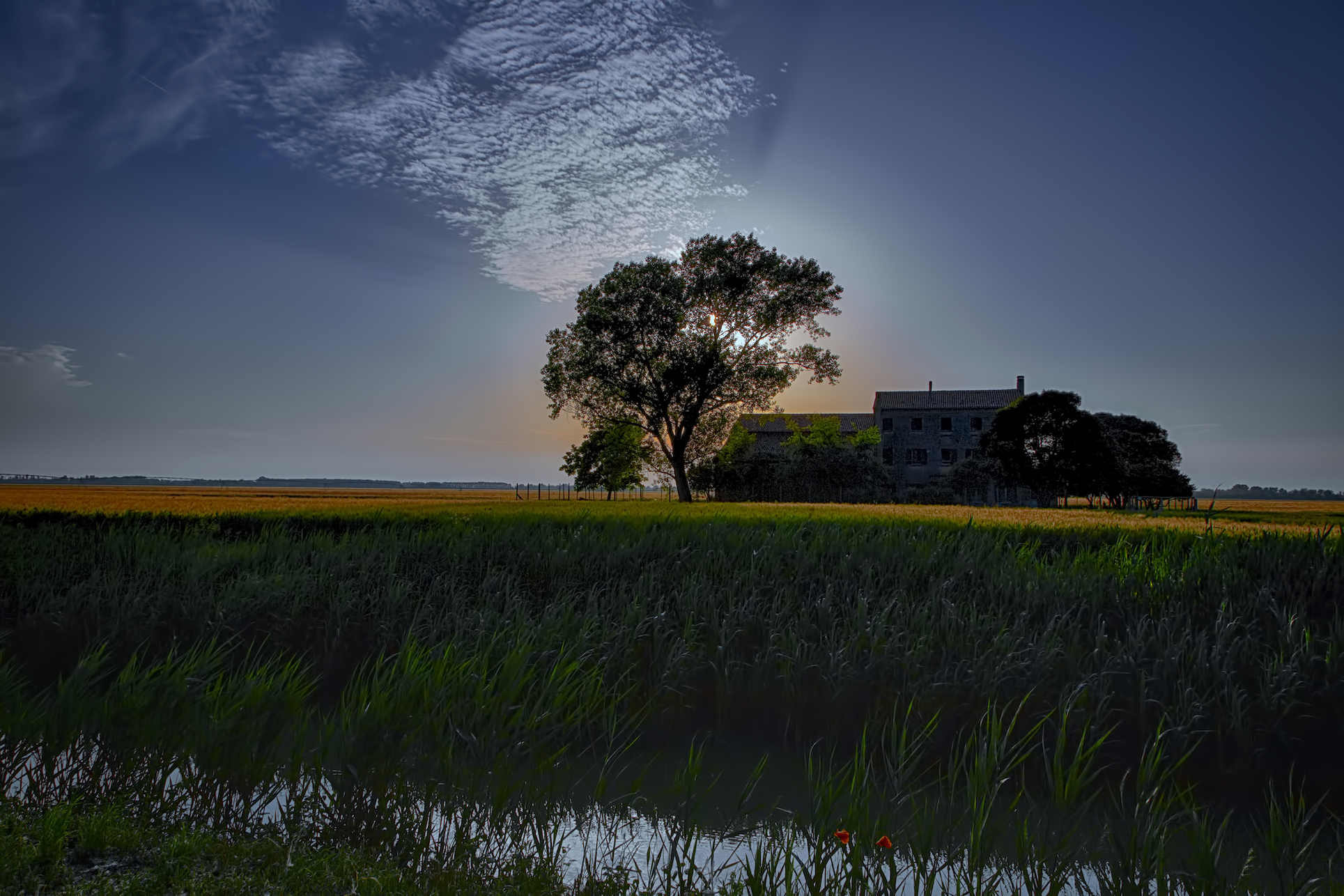 Backlit in the countryside