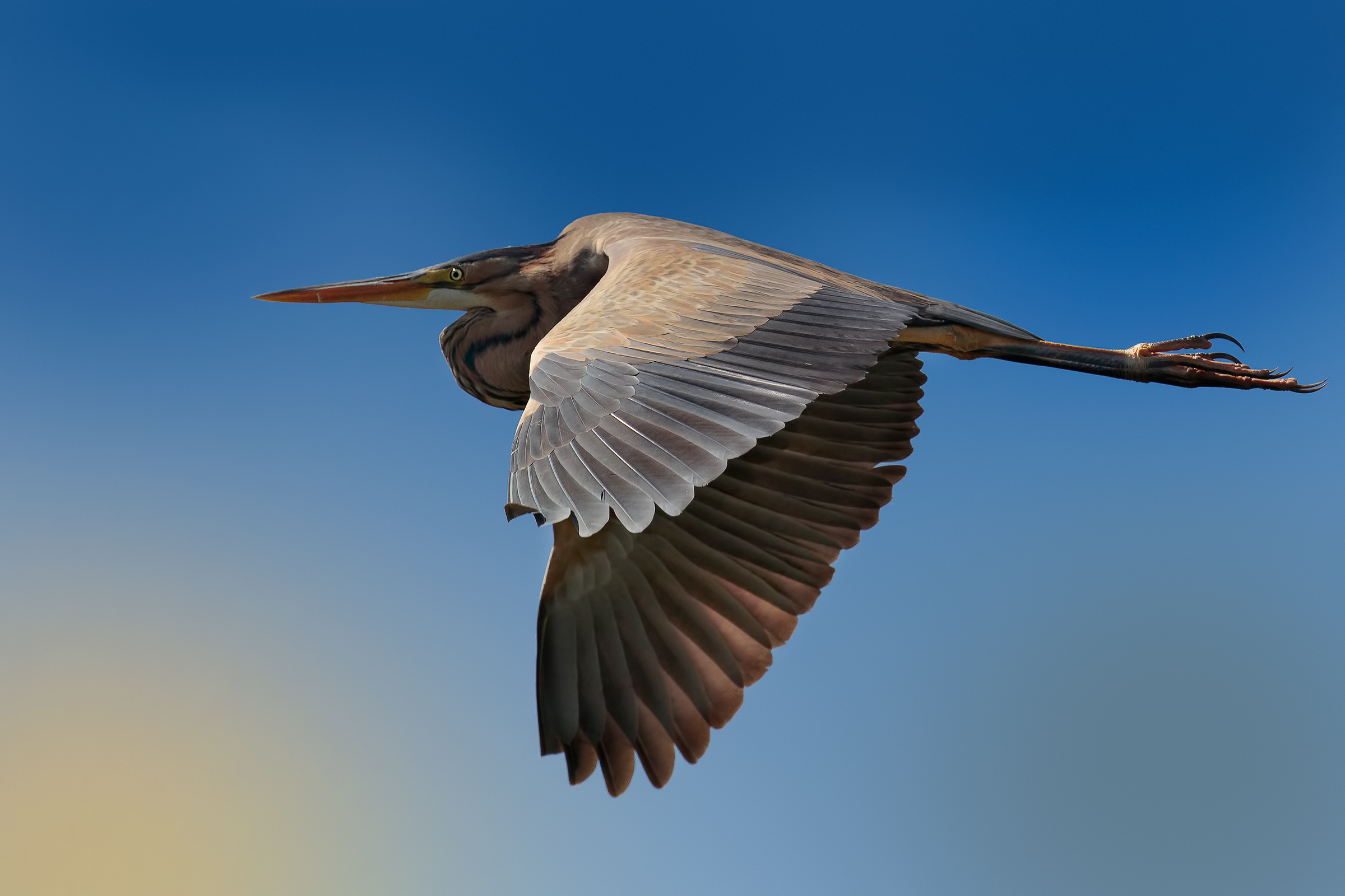In flight