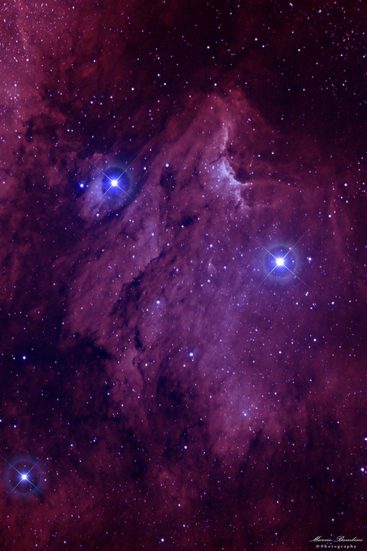 Experiment Pelican Nebula in Bicolor False