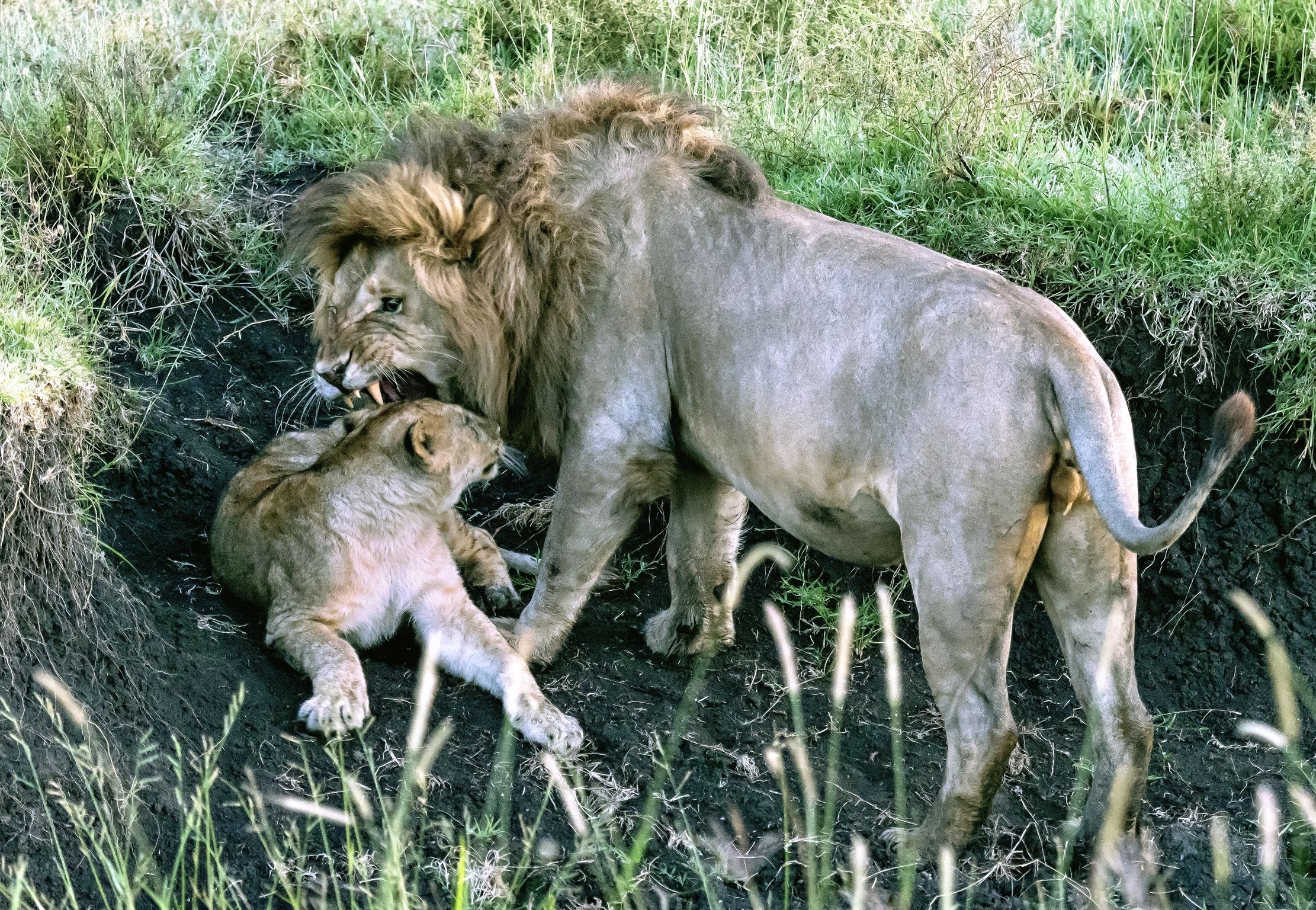 Tanzania 2016 - Alla fine della notte