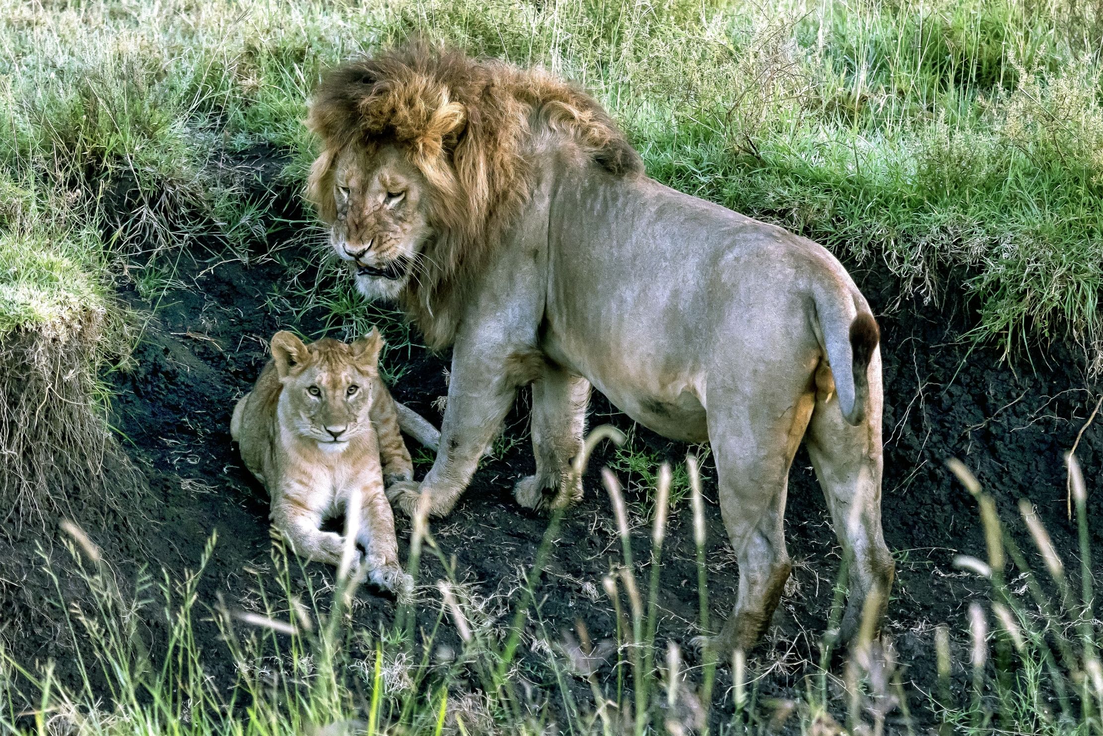 Tanzania 2016 - Con il papà