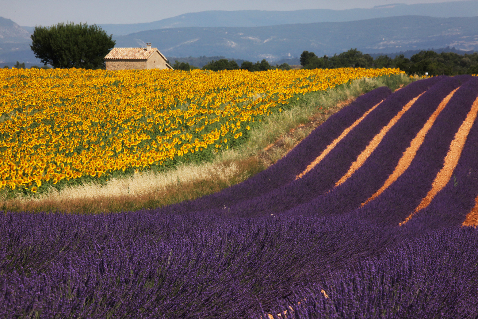 provence