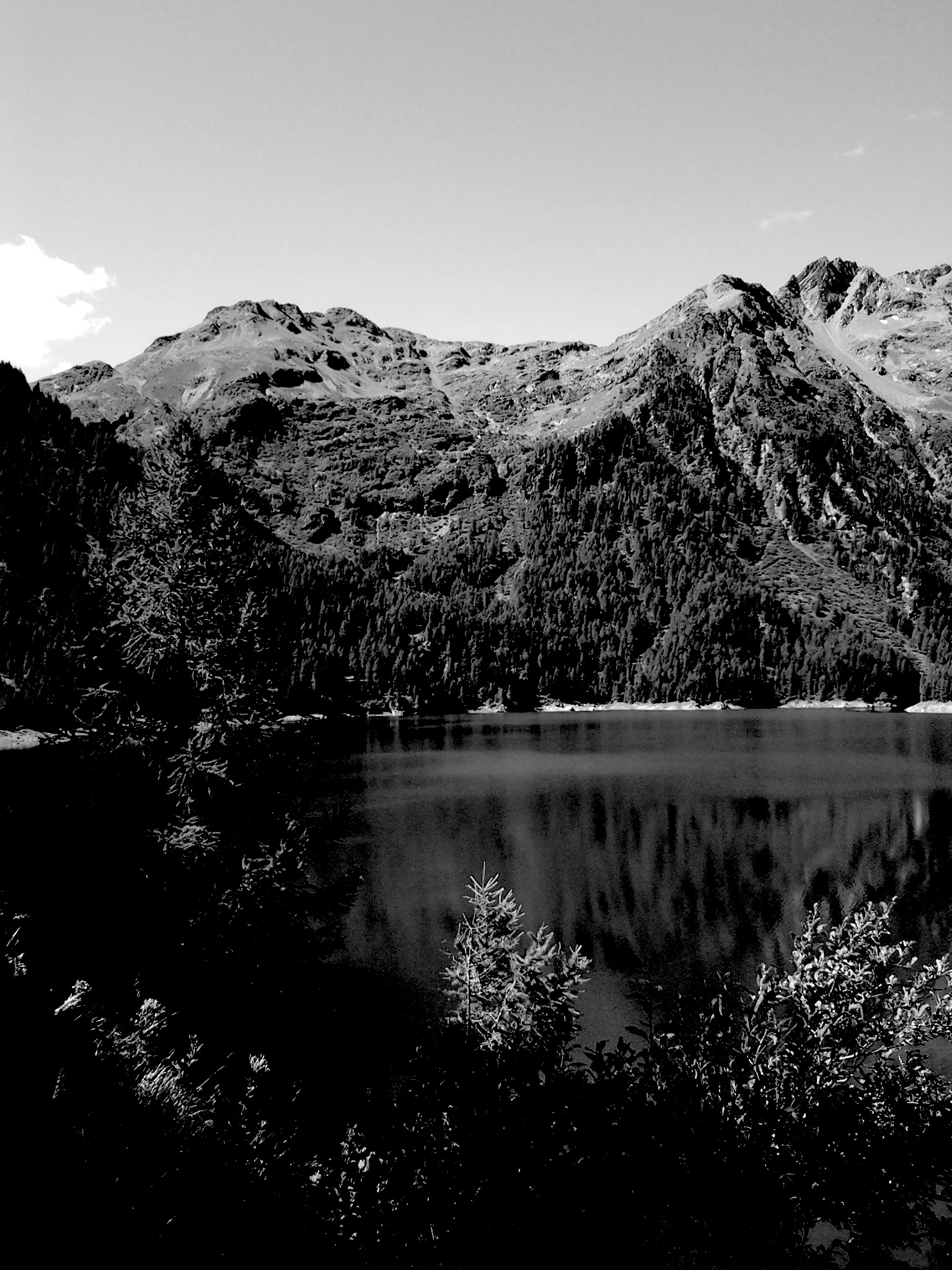 Lago Palù, Pian Palù, Trentino