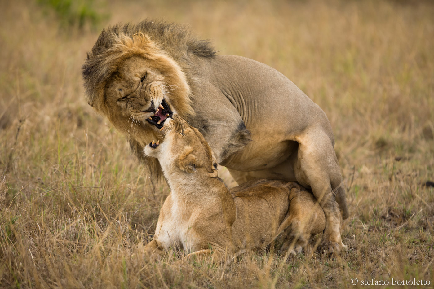 Sguardi di passione ???