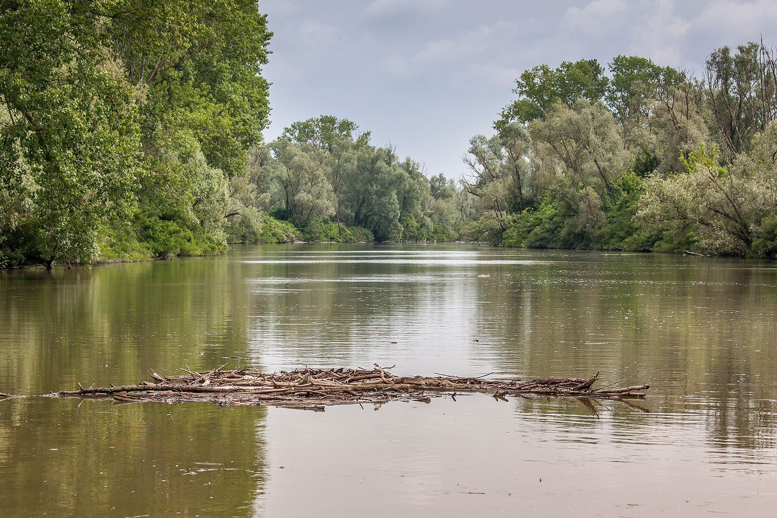 escursione sul delta del po'