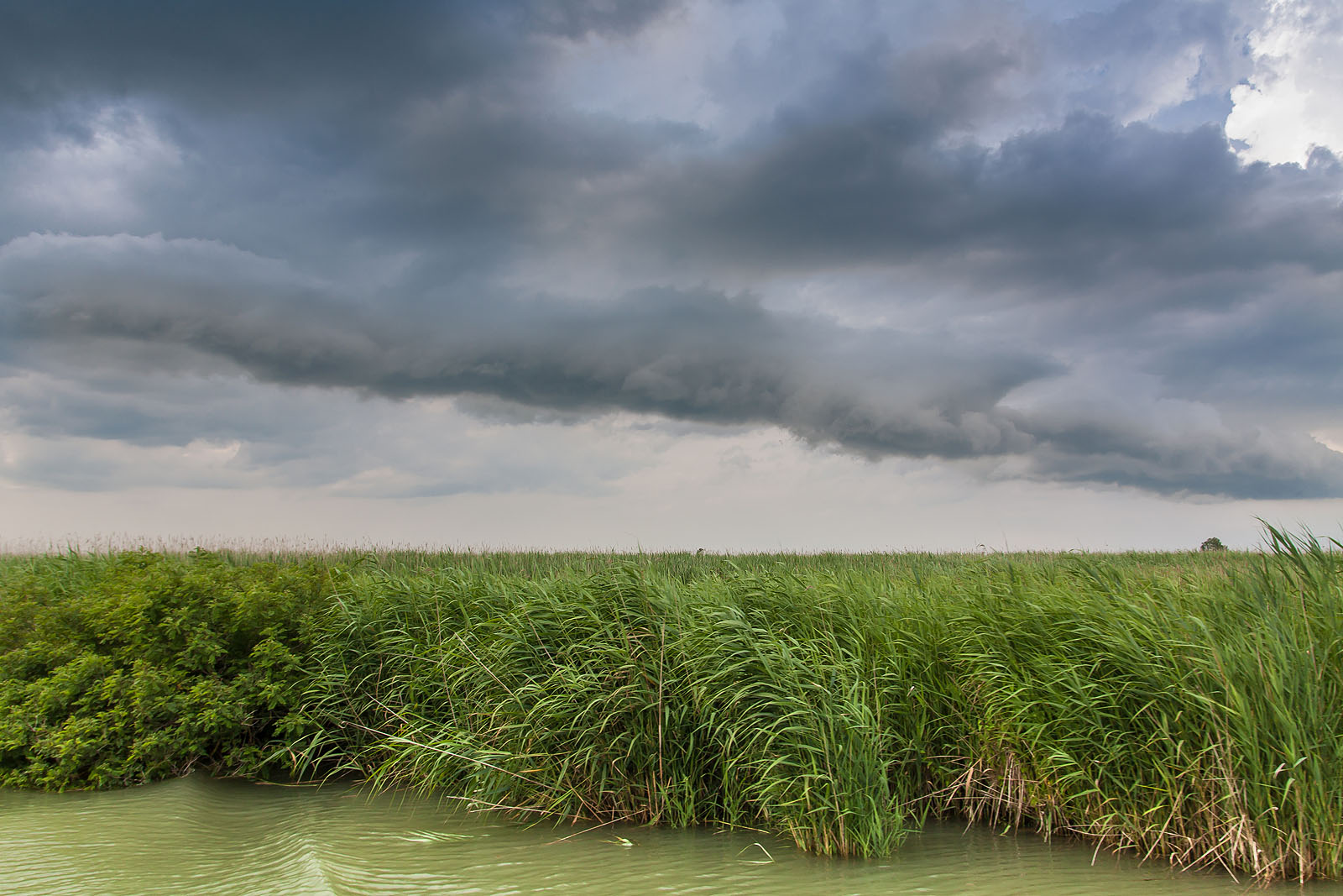 delta del po" con cielo minaccioso.