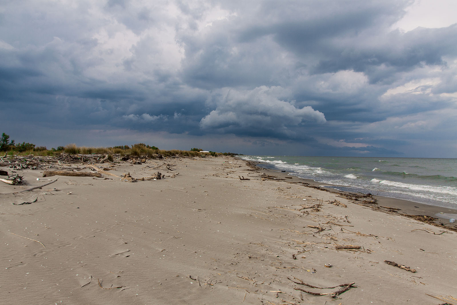 paesaggio sabbioso con cielo minaccioso.