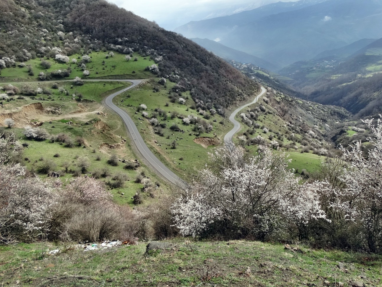 Beautiful road at spring