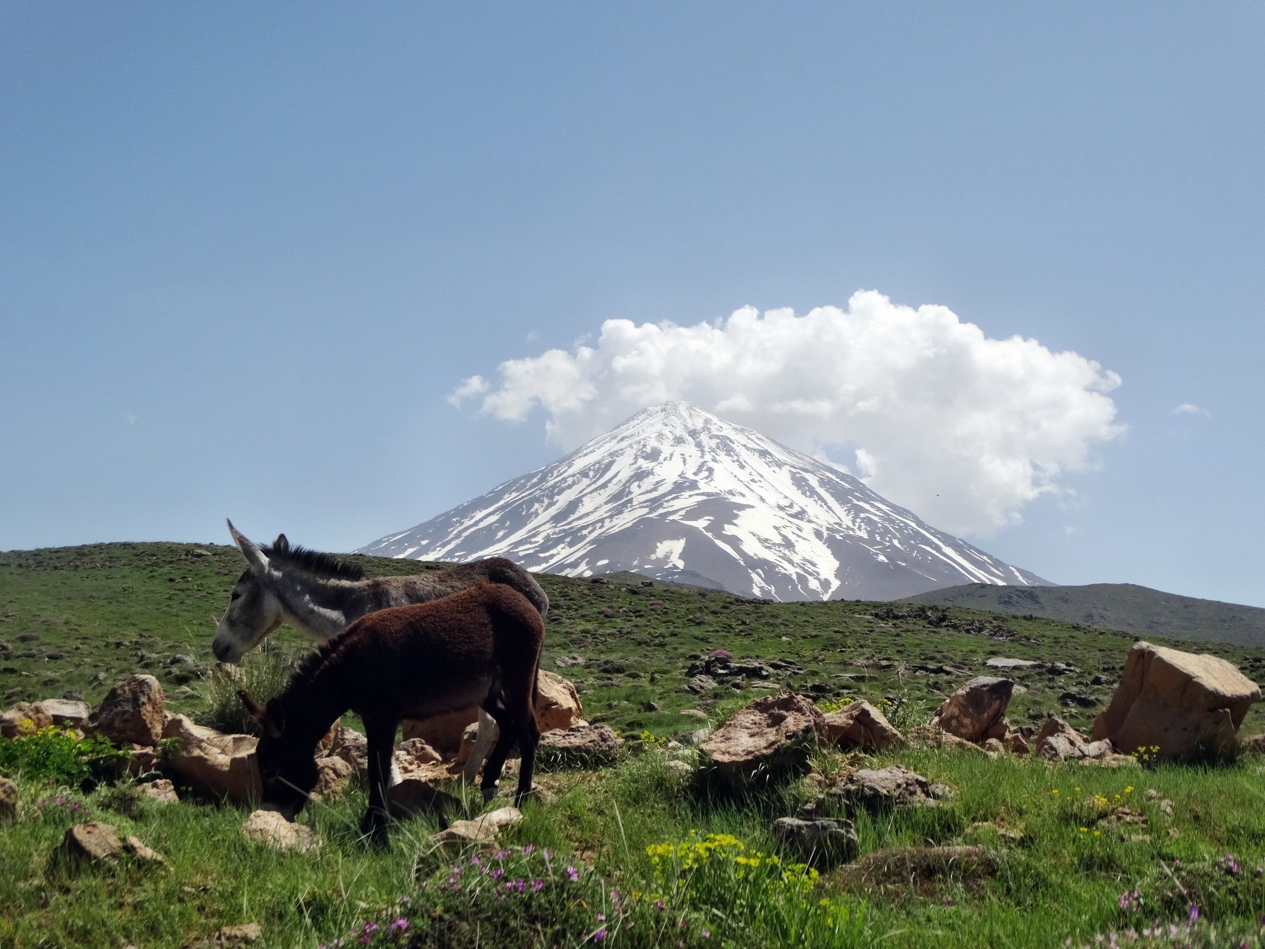 damavand mountain