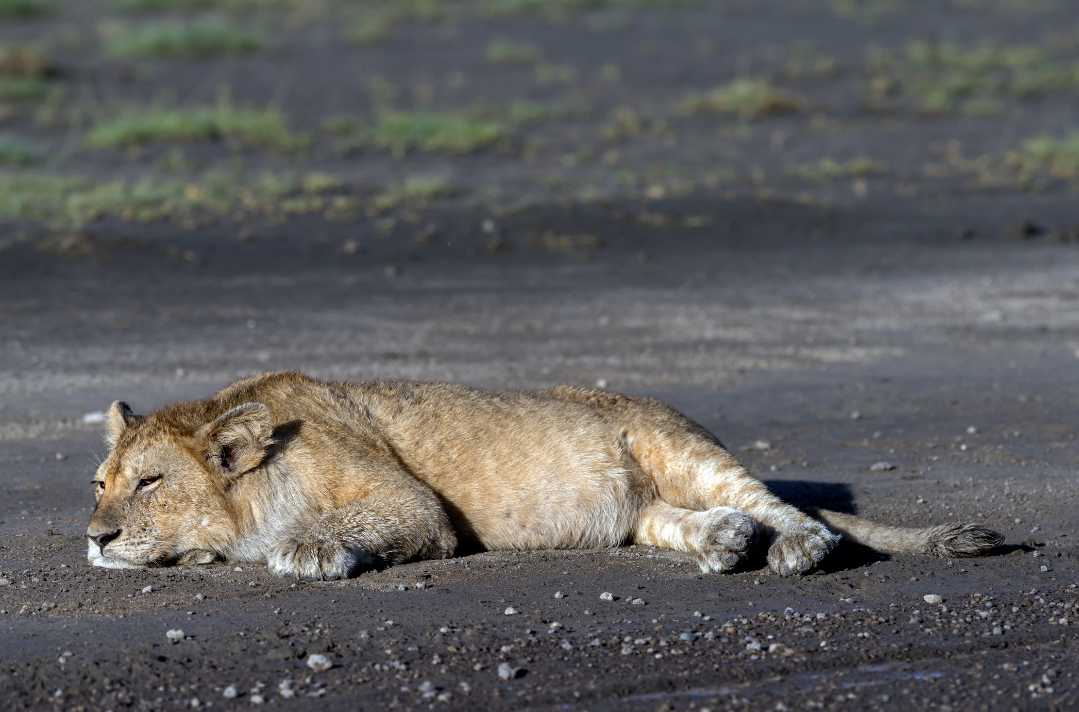 Tanzania 2016 - Sonno