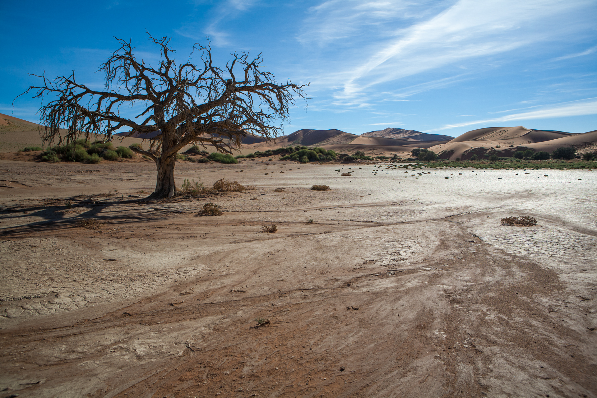 Deserto del Namib