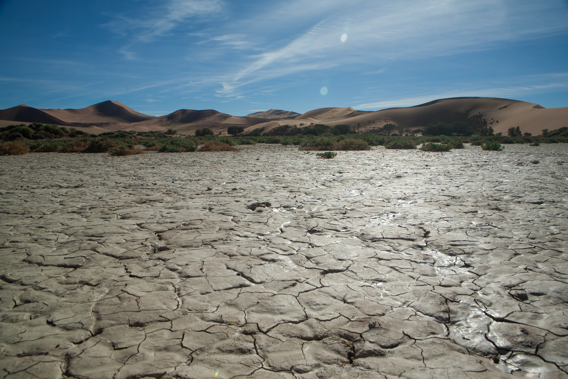 Namib Desert
