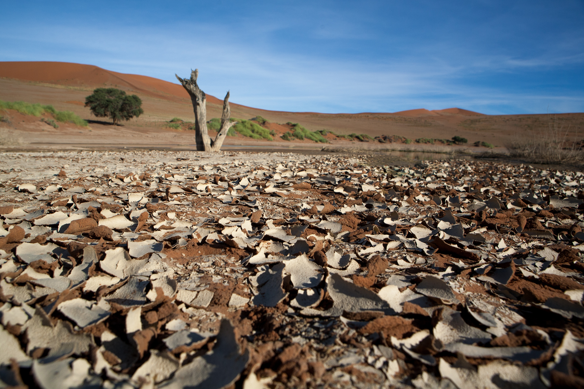 Namib Desert