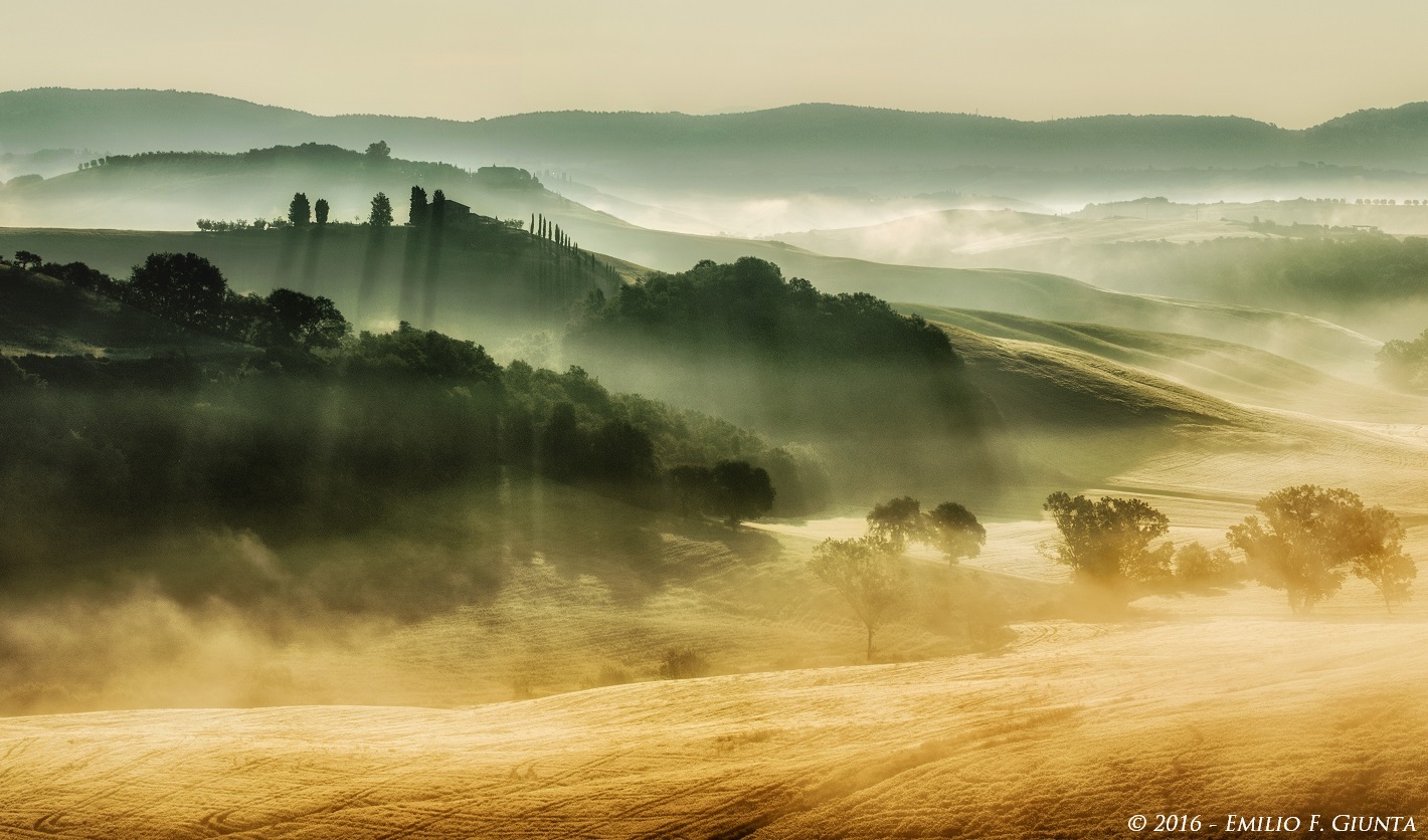 The fog of early morning