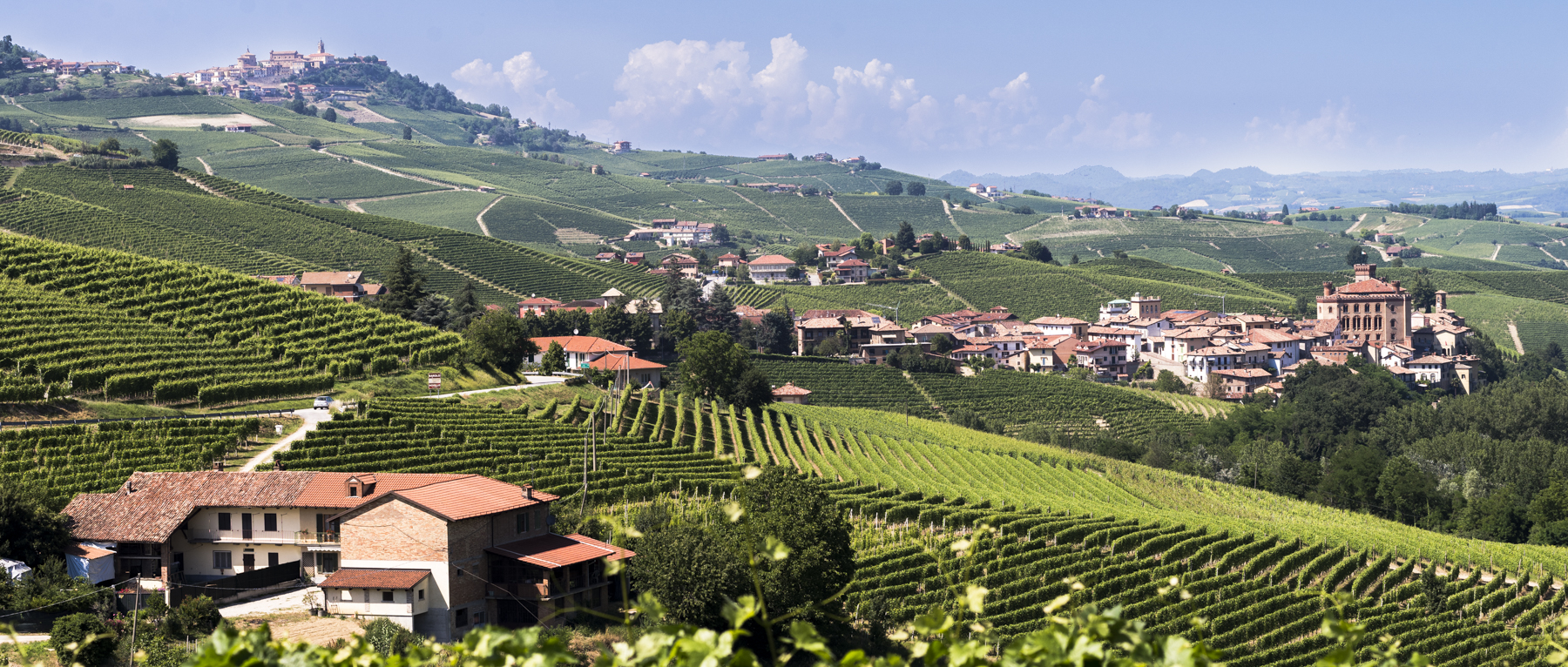 The vineyards of Barolo