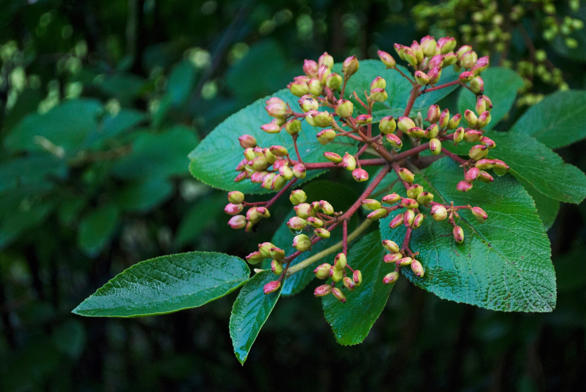 Una composizione perfetta