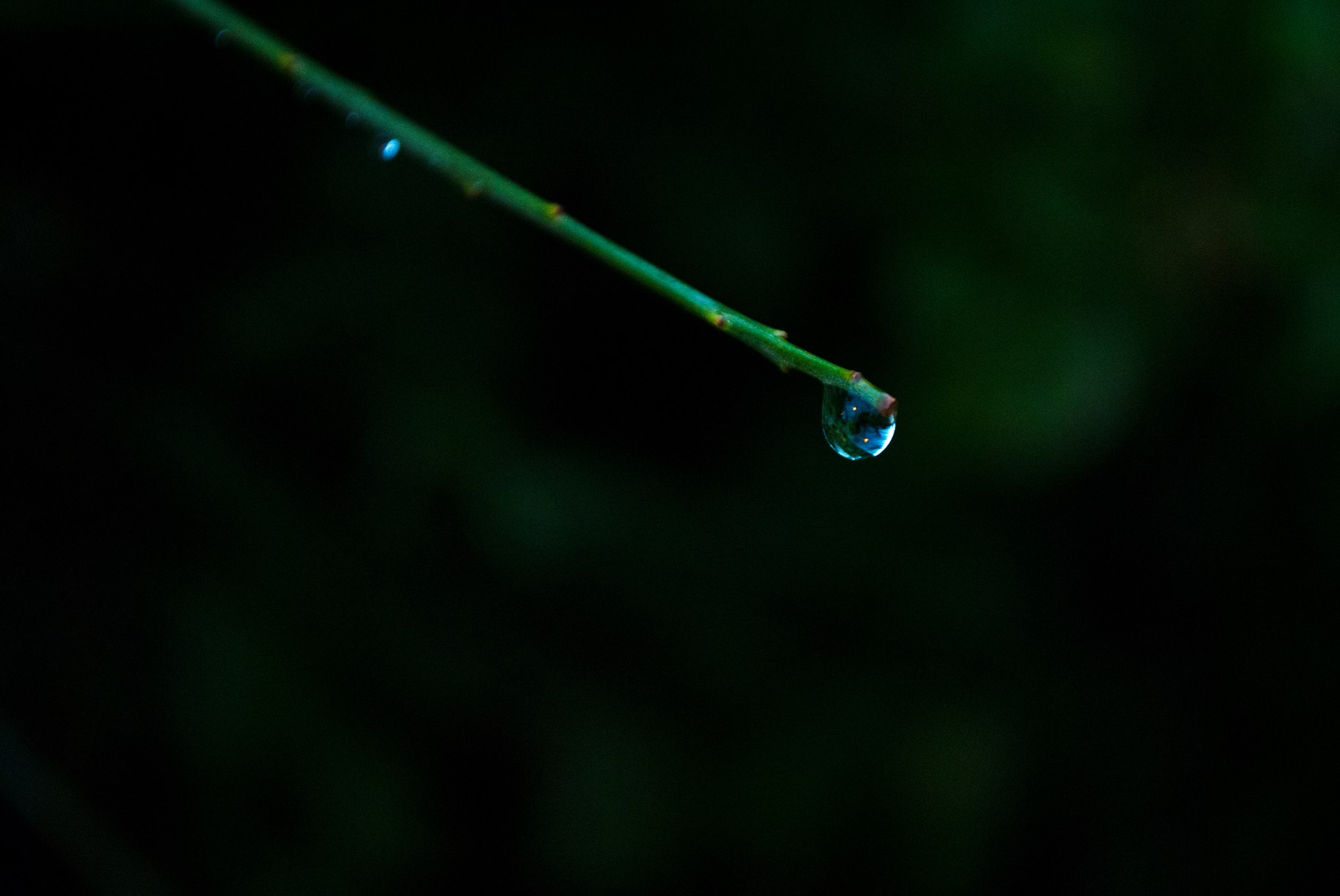 Quasi una lacrima...